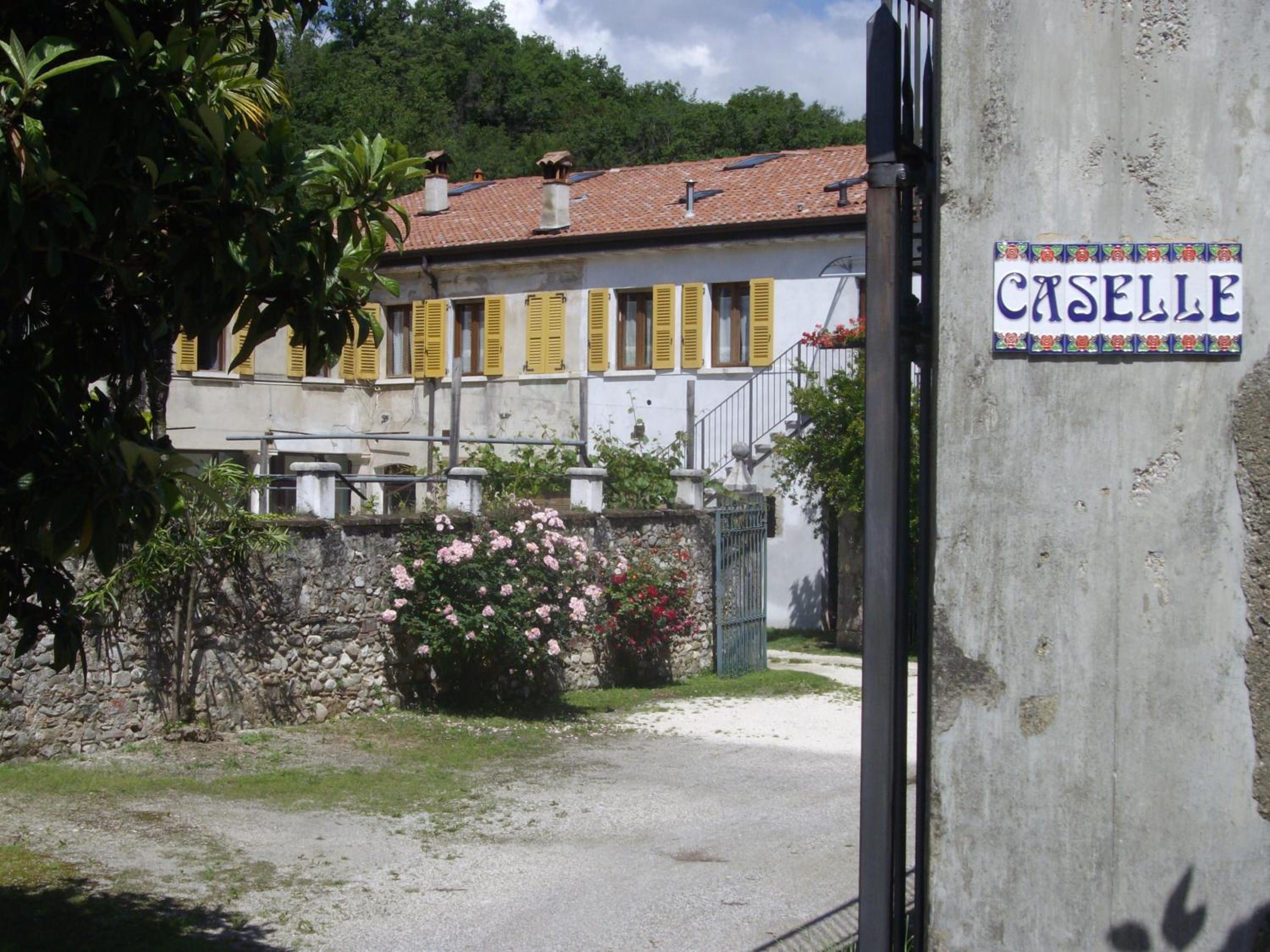 Photo 17