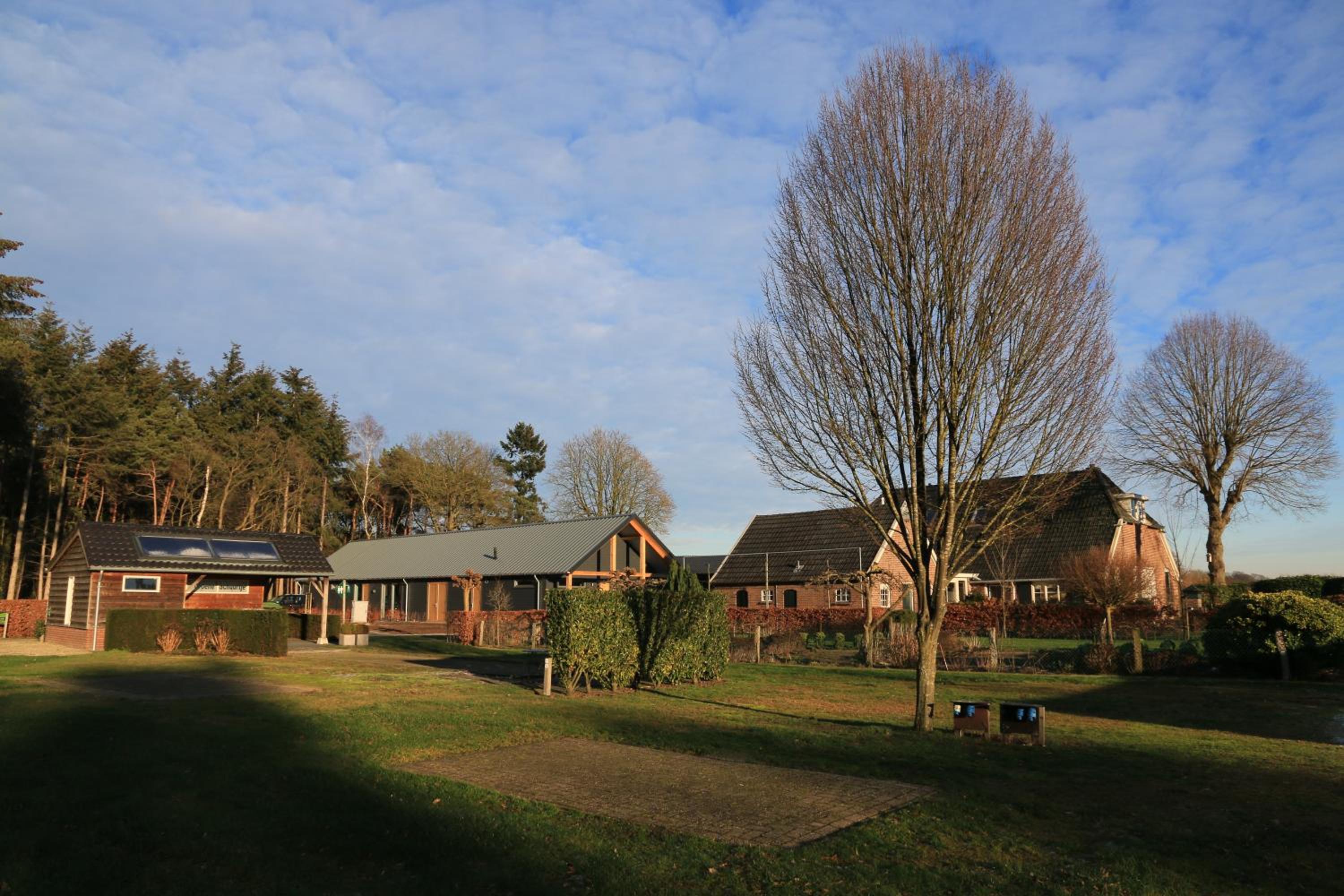 Photo 19