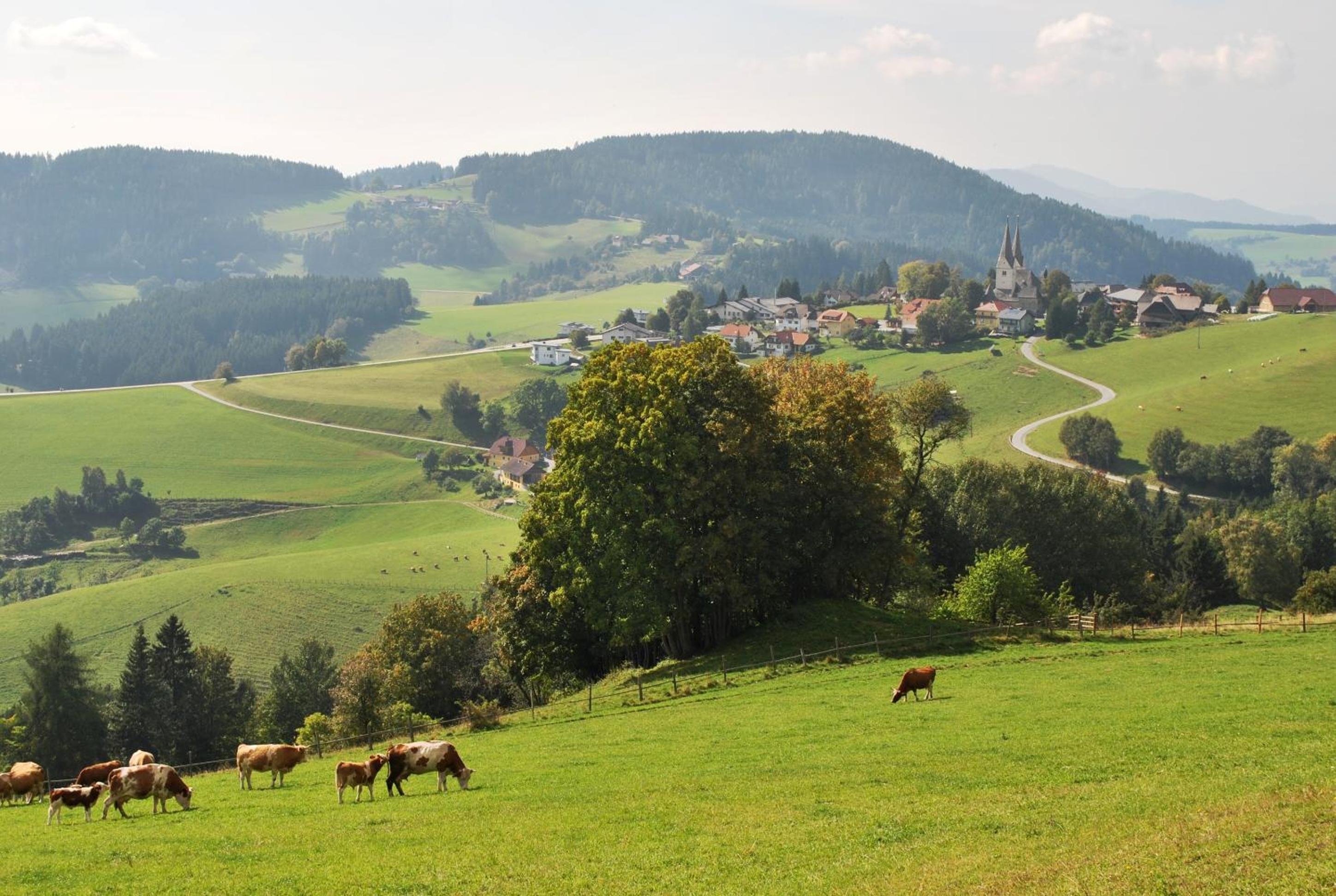 Landhaus Noreia