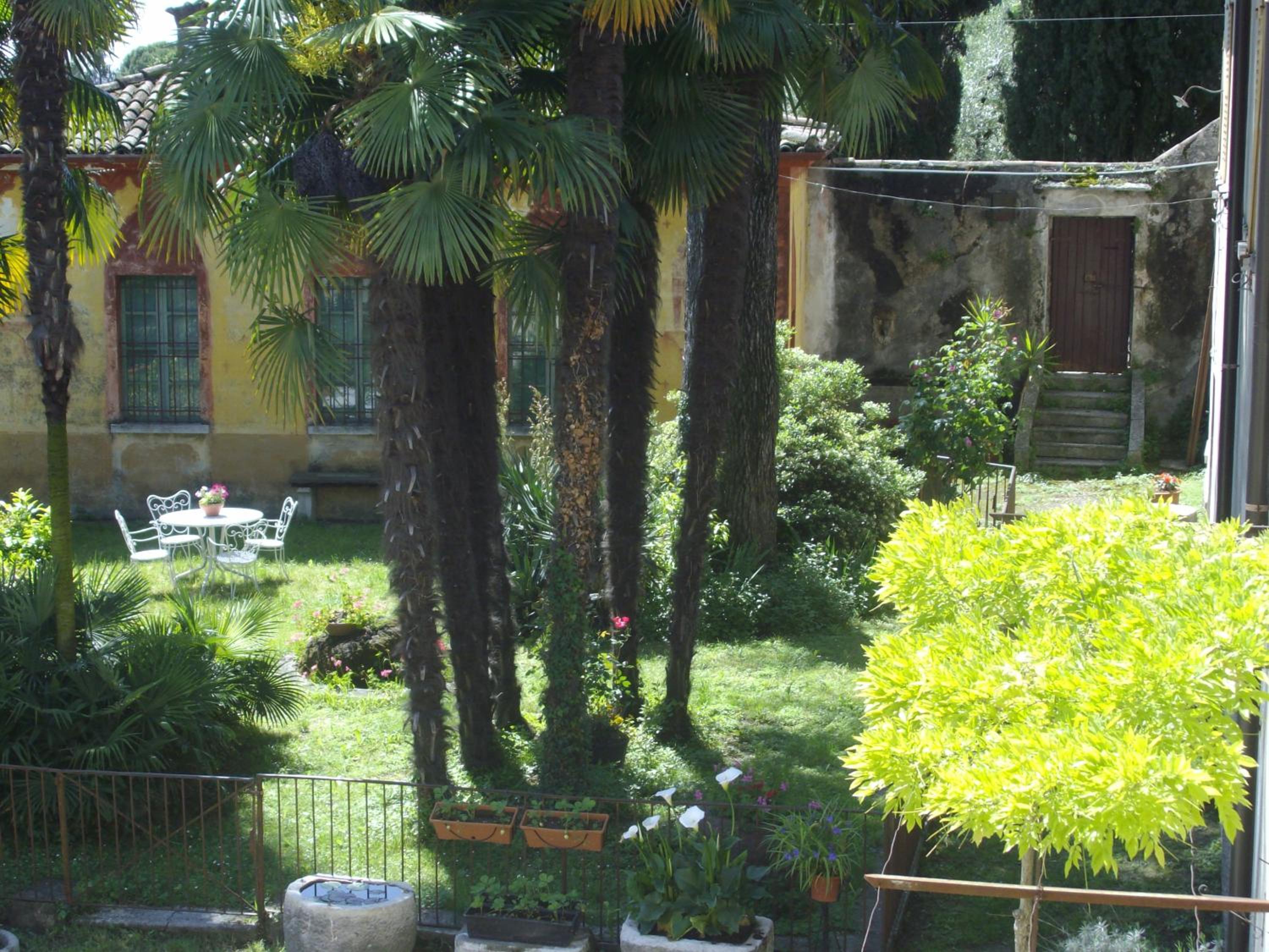 Photo 24