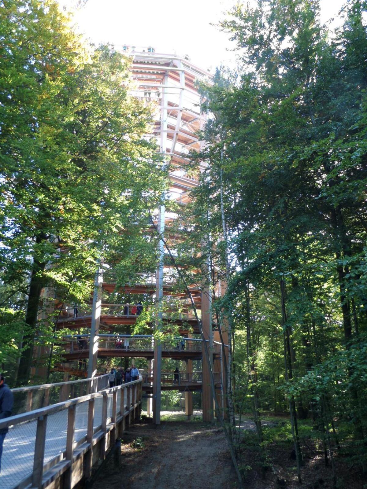 Photo 20