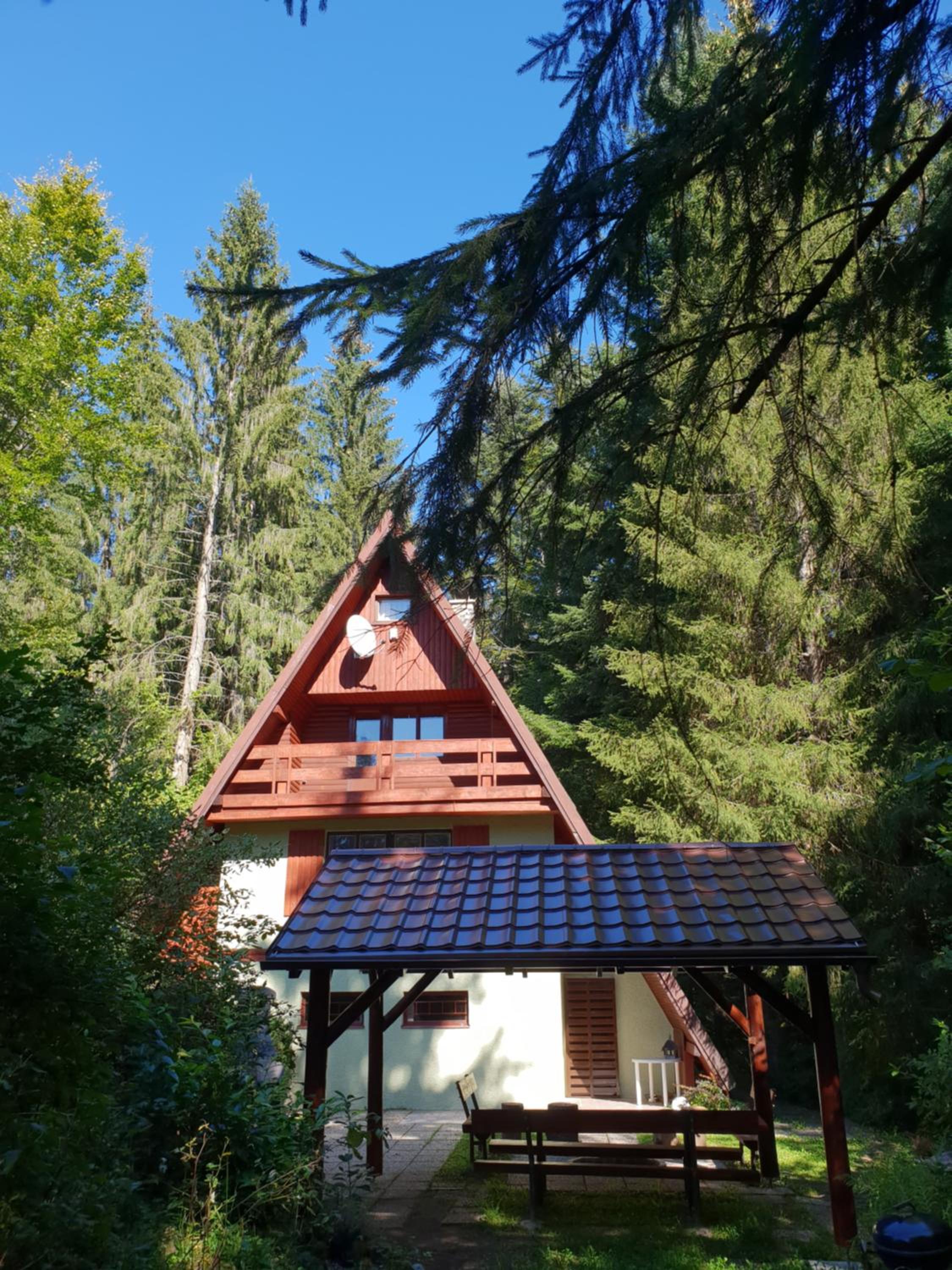 Squirrel cottage view 5