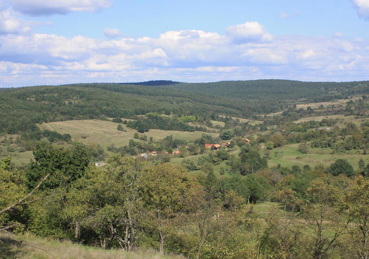 Photo 23