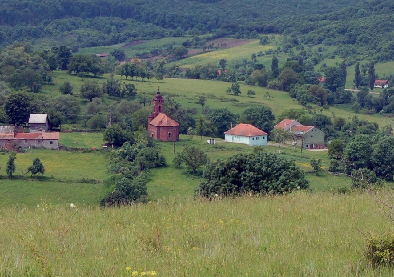 Photo 44