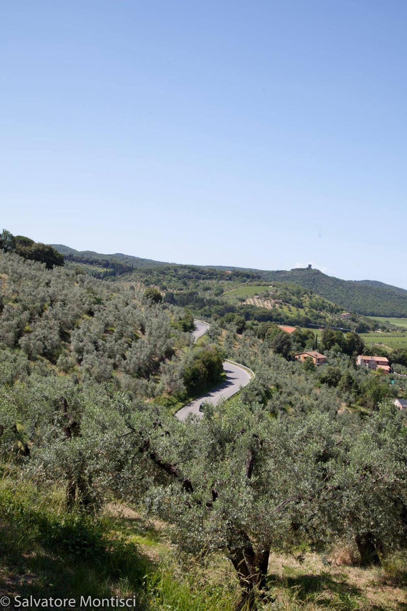 Acacia casetta con giardino