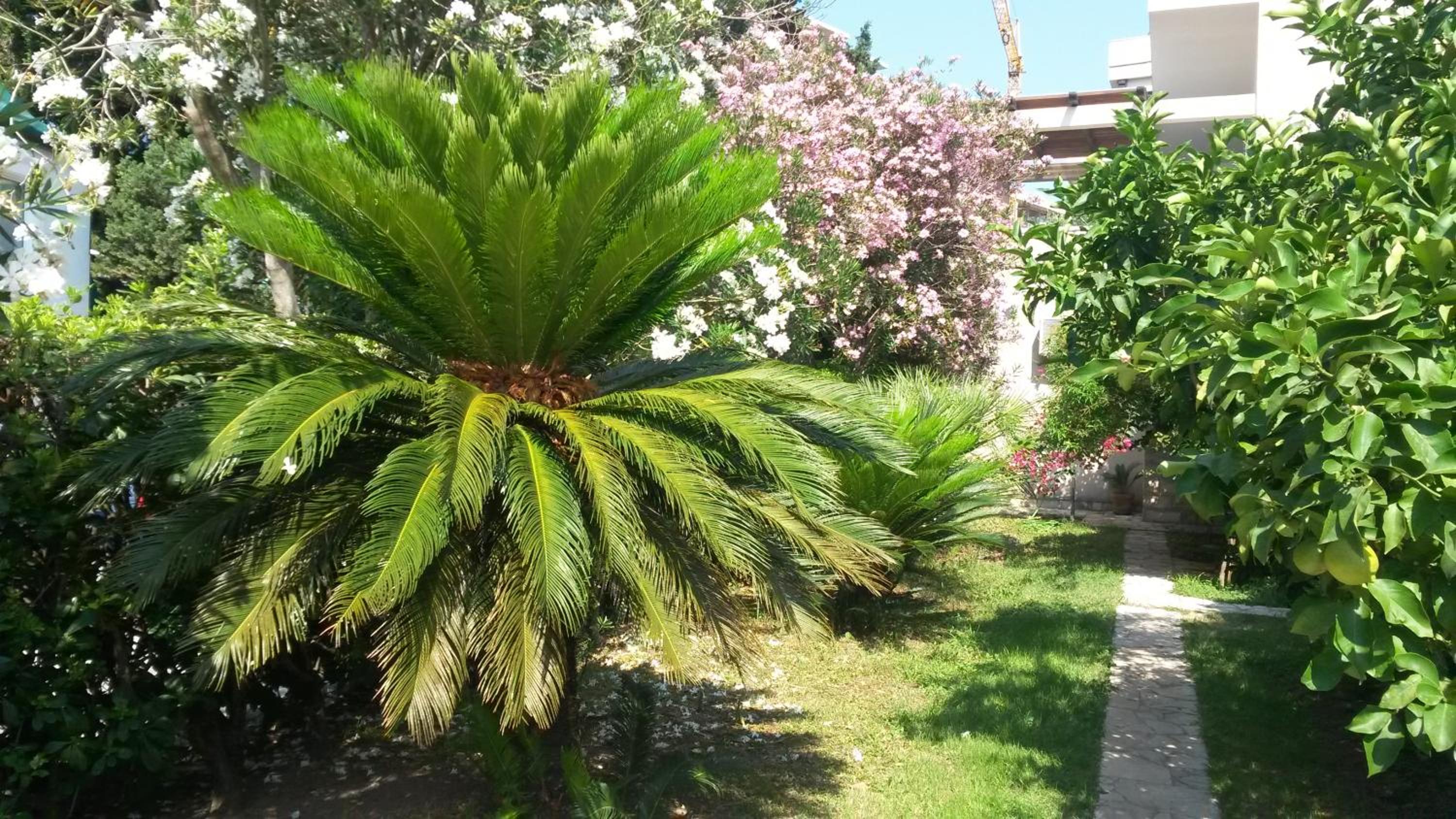 Photo 10