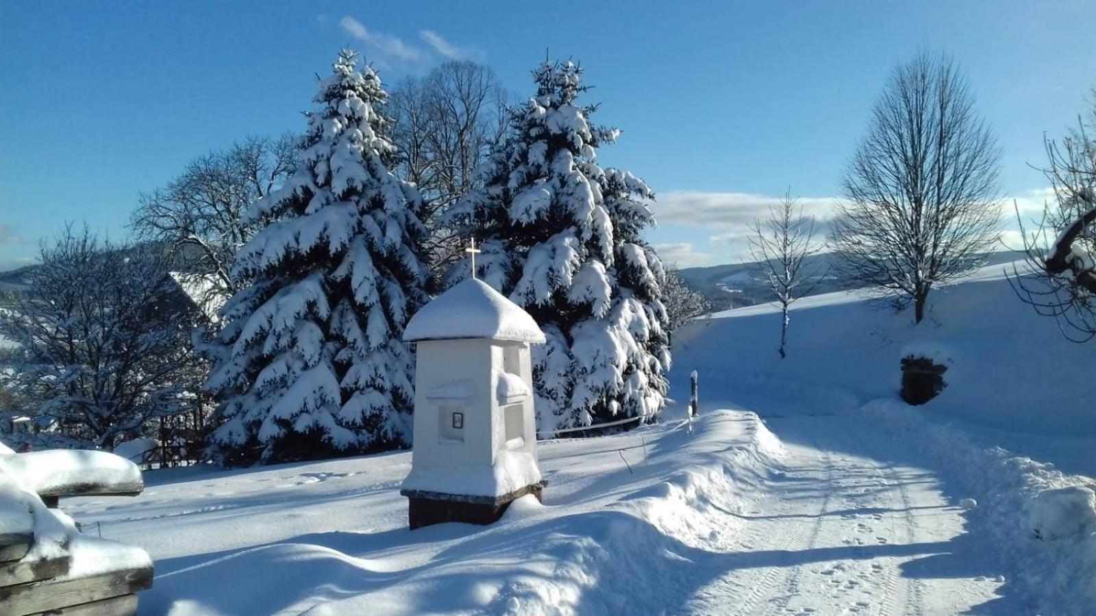 Stylová chalupa na kraji národního parku Šumava