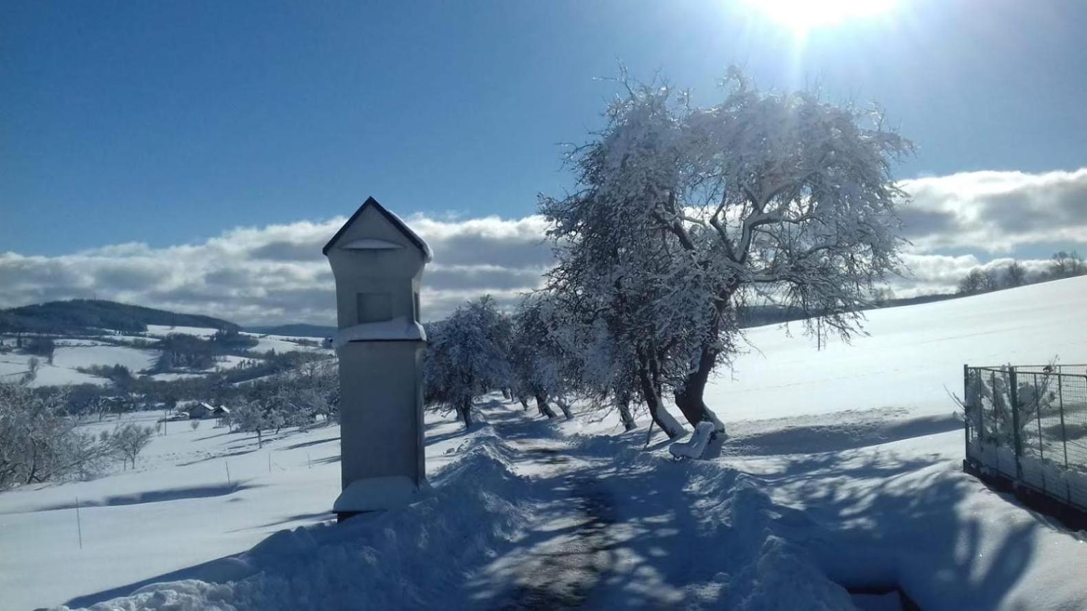 Stylová chalupa na kraji národního parku Šumava