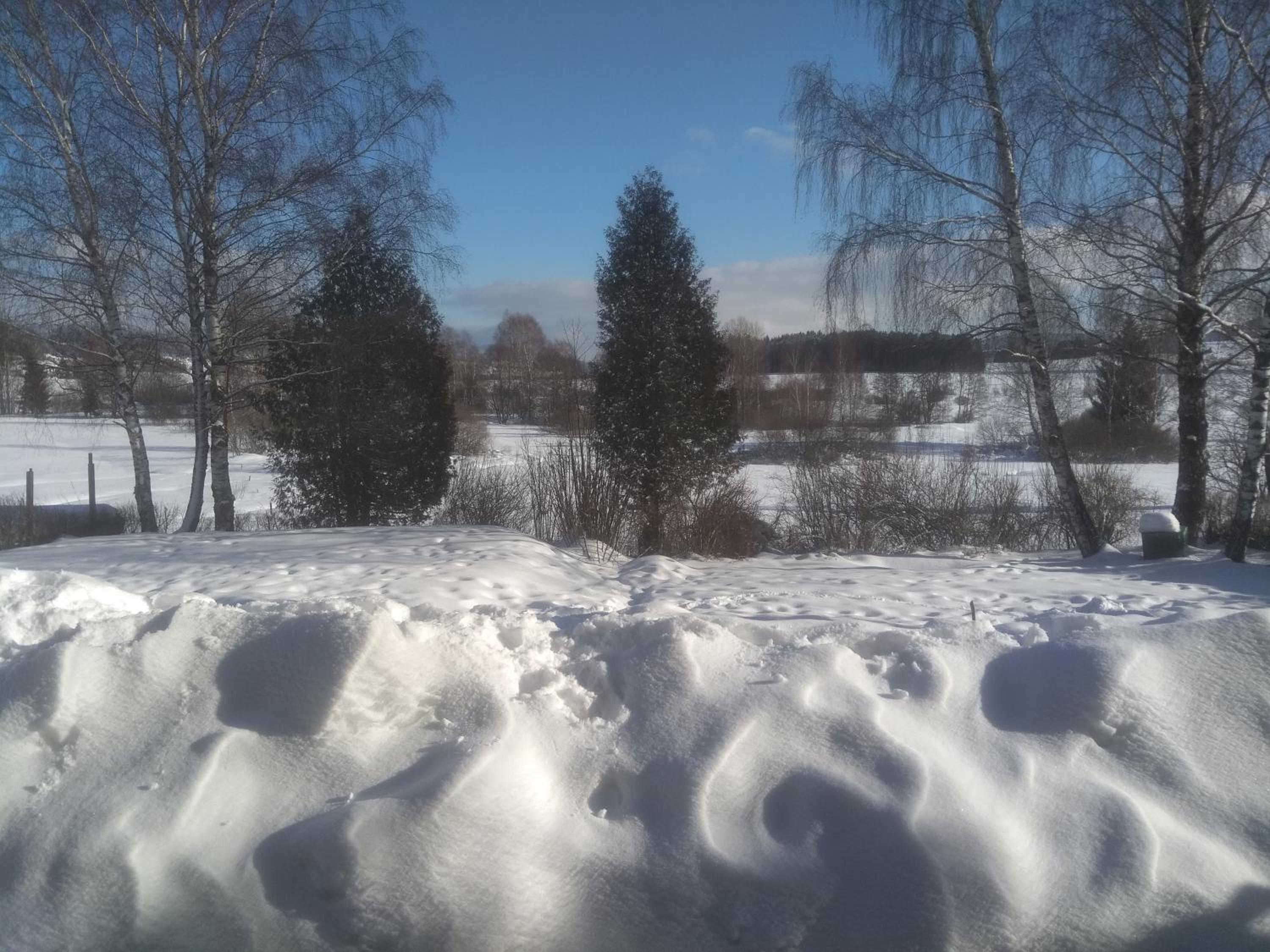 Photo 47