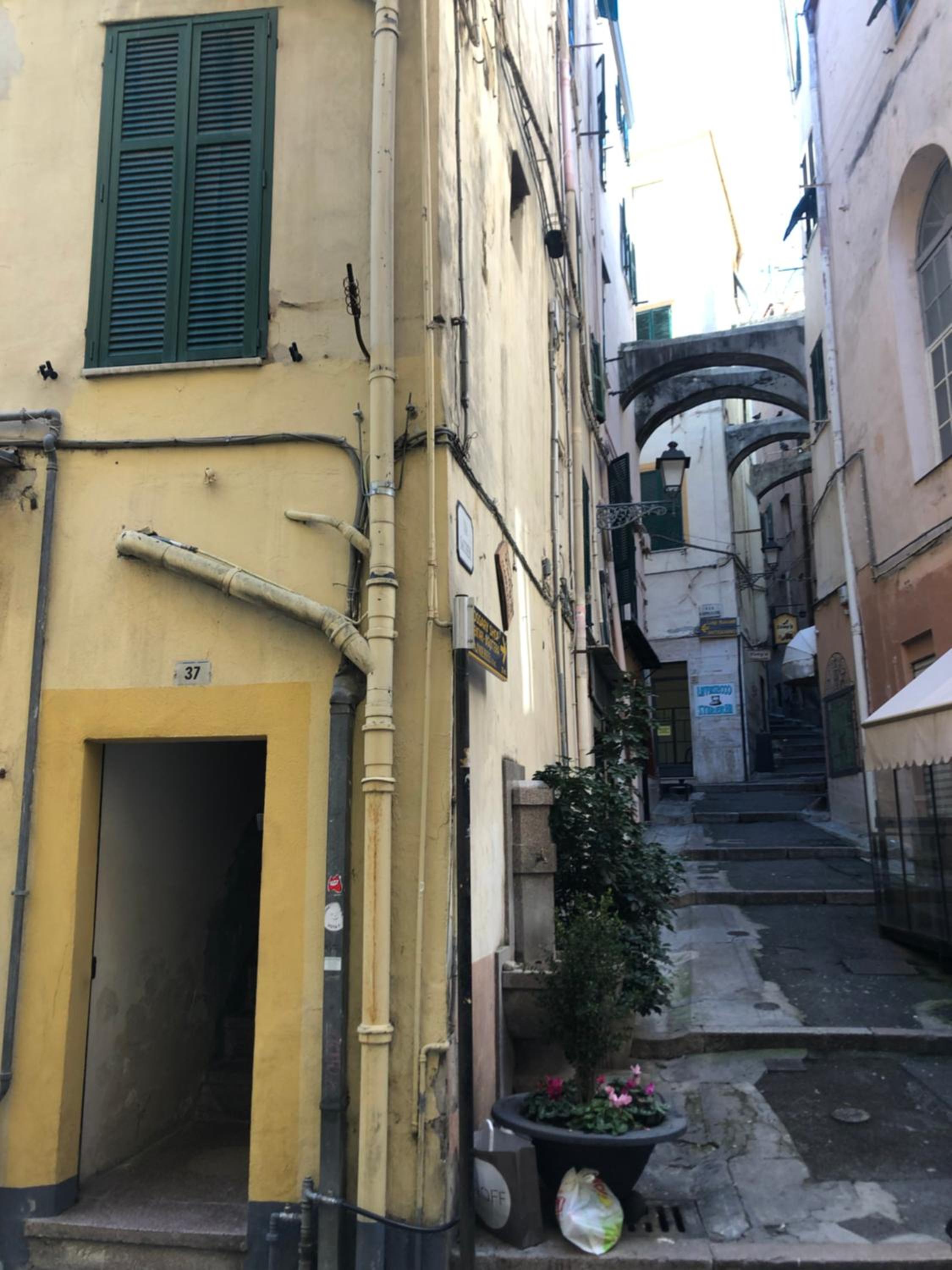 Corradi 37 view 5