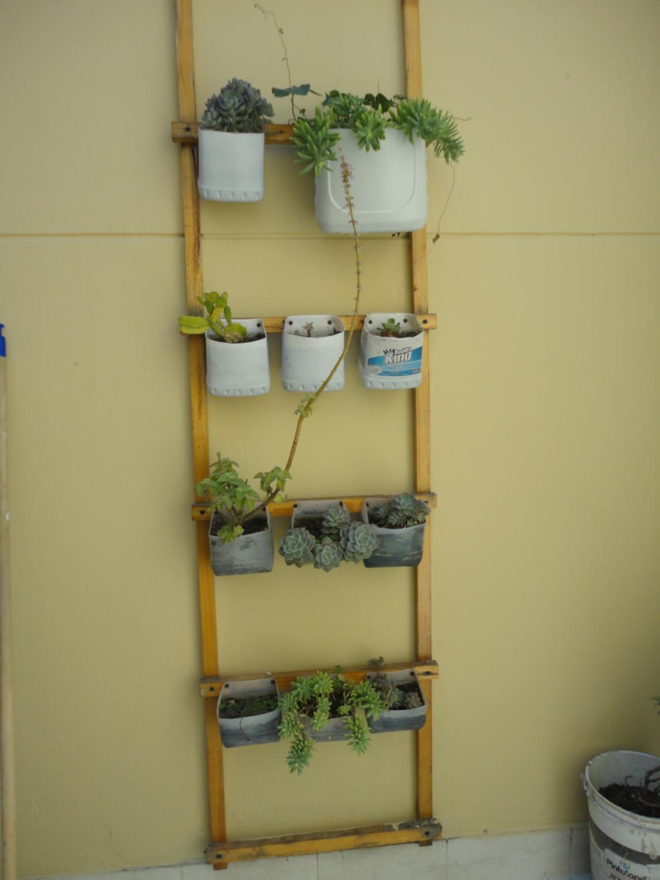 Selvática Alojamiento Eco