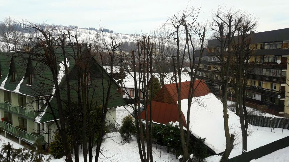 Photo 37