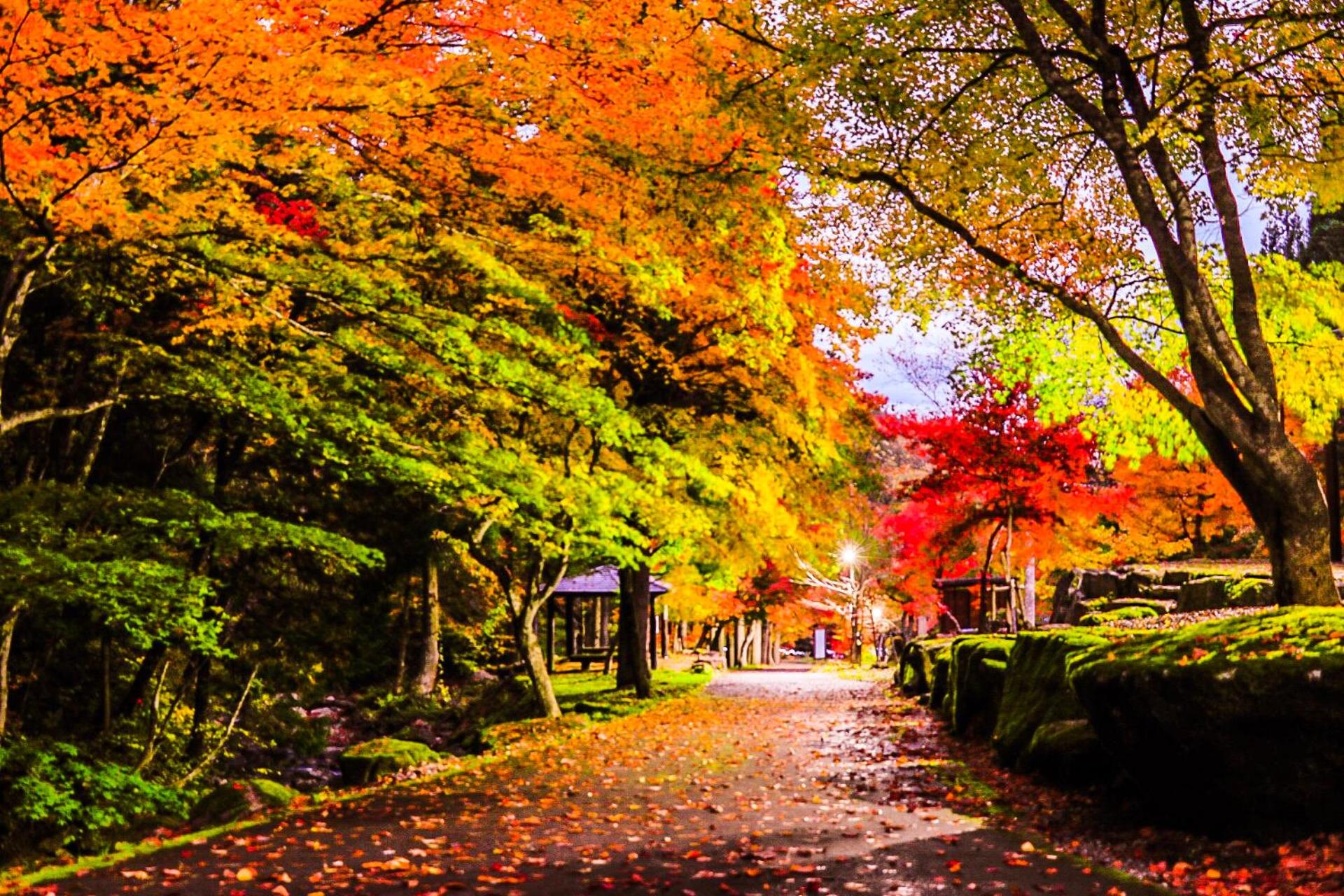 Pension Good Luck Takayama