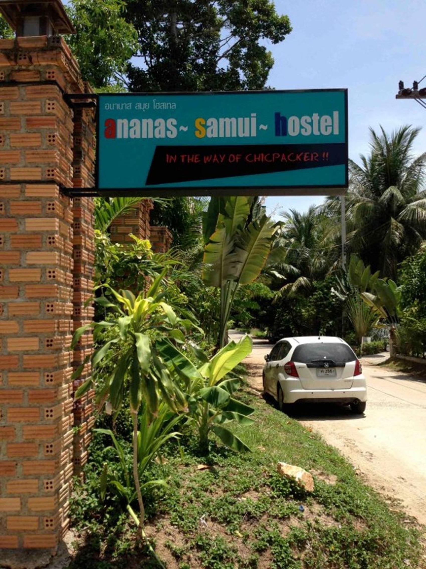 Ananas Samui Hostel