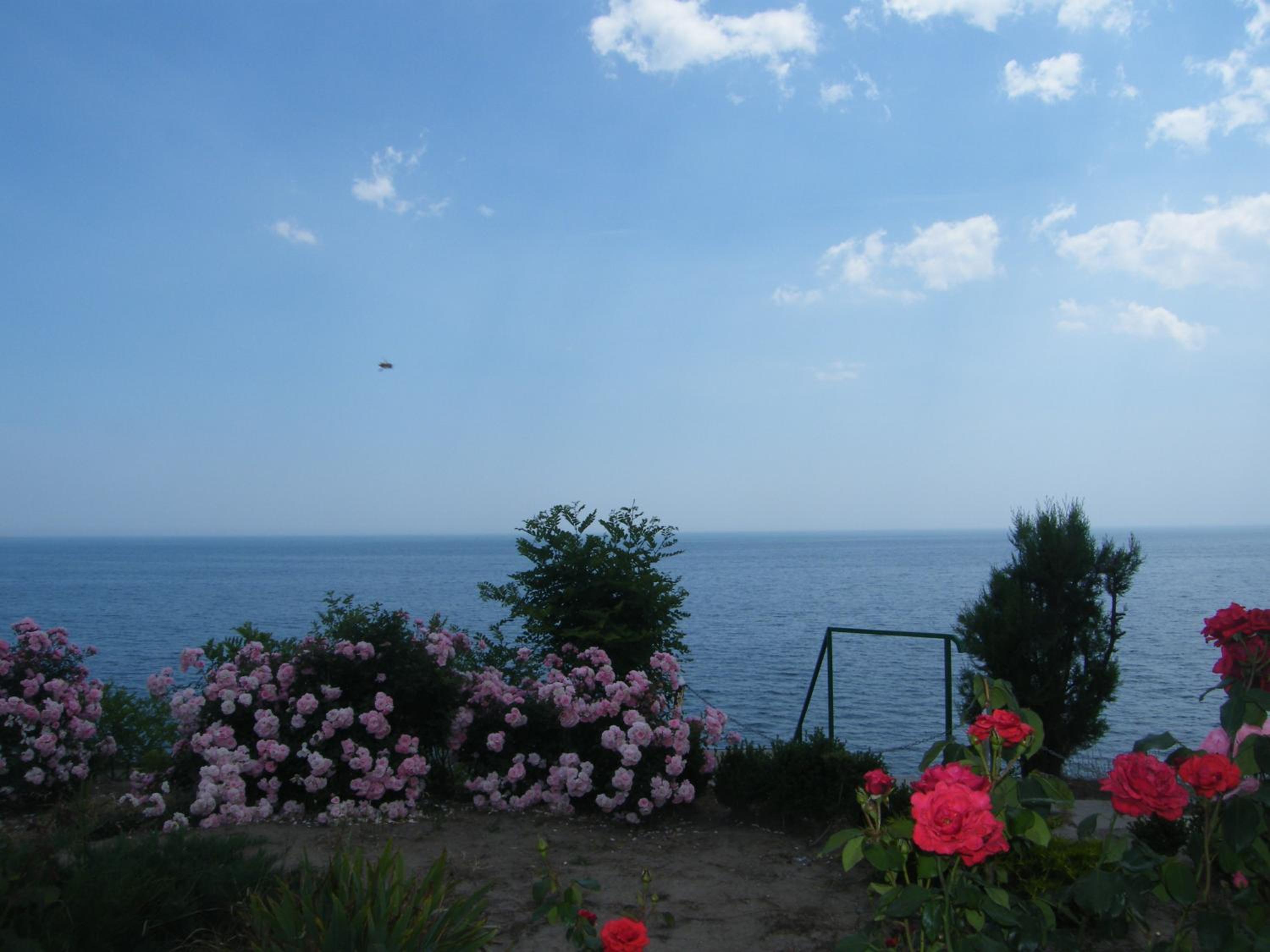 Photo 24