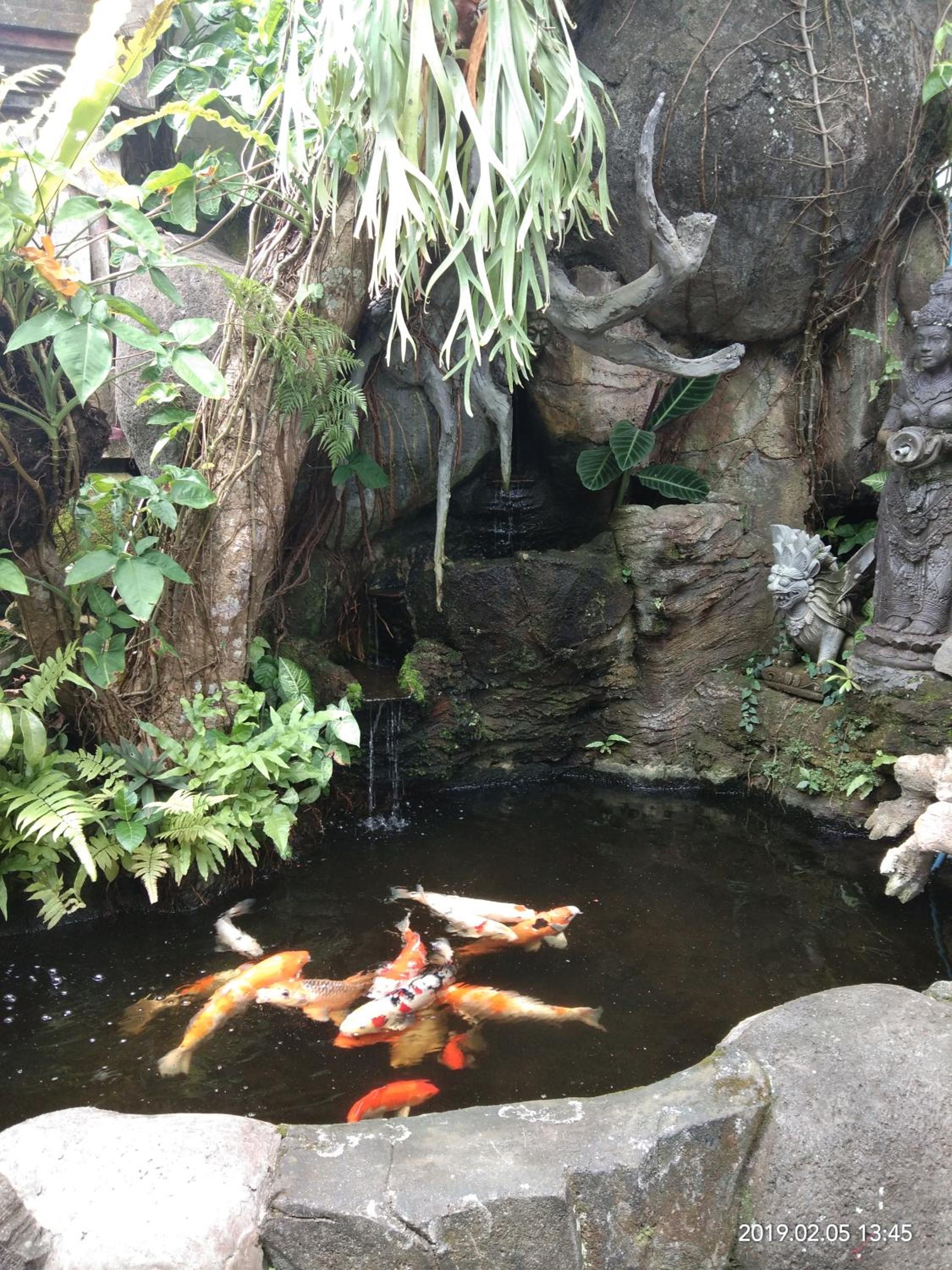 Photo 40