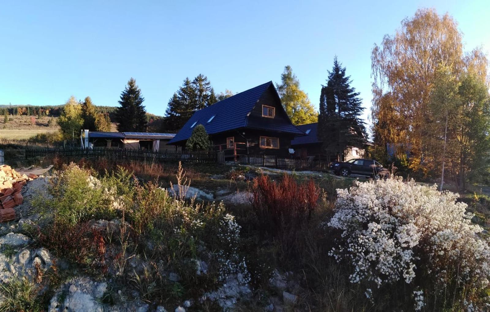 Photo 19