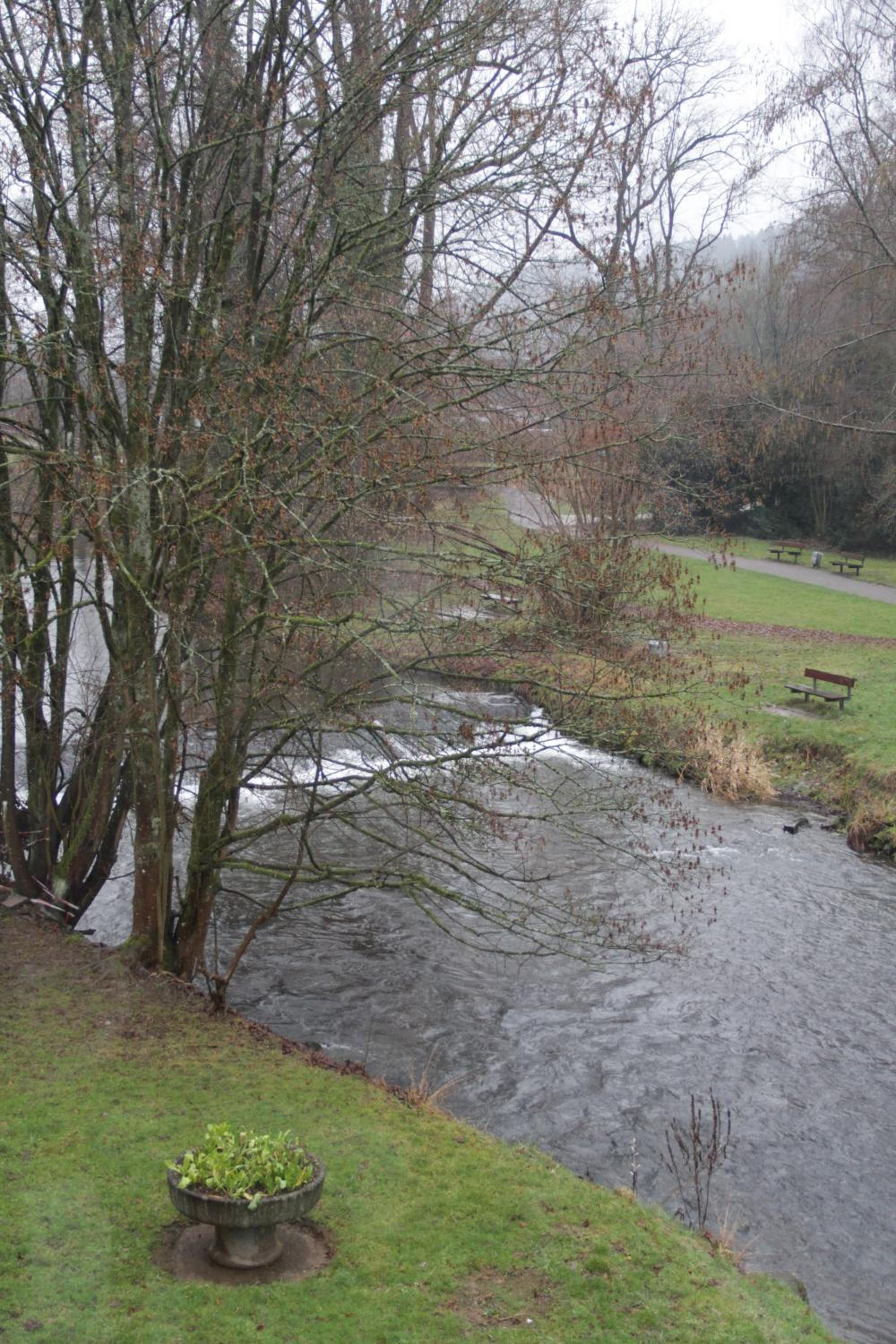 Ferienhaus "Alte Mühle" view 5