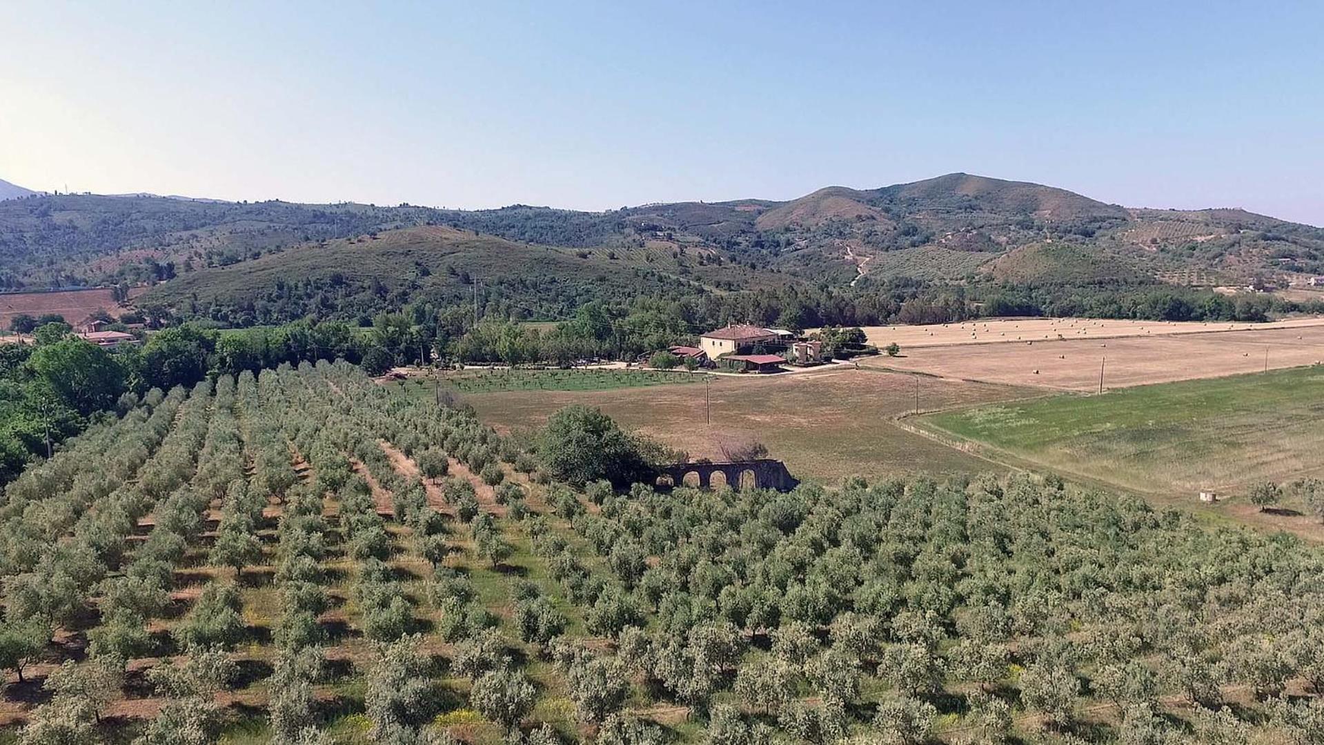 Agriturismo La Petrosa