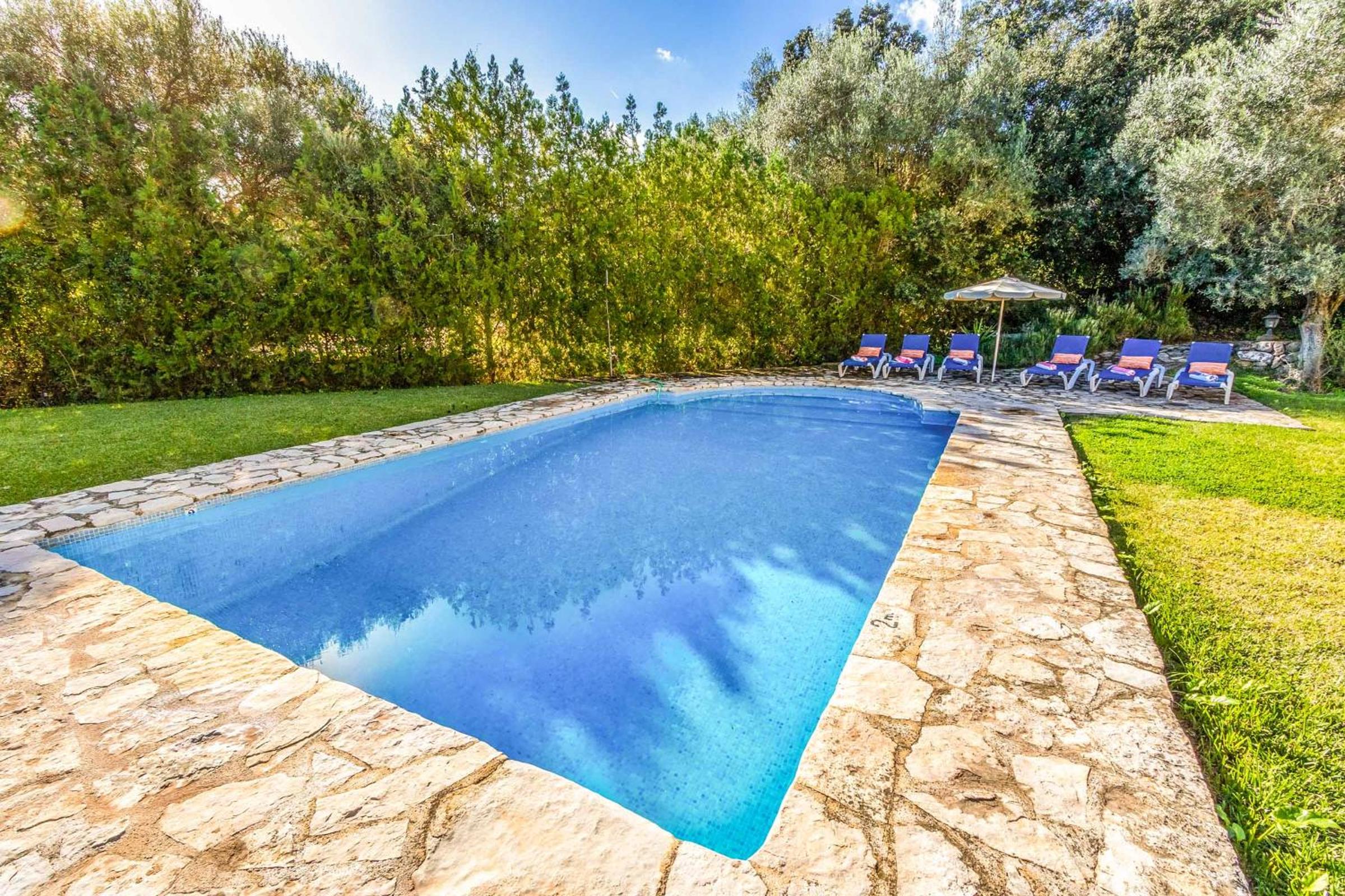 Finca Tomas view 5