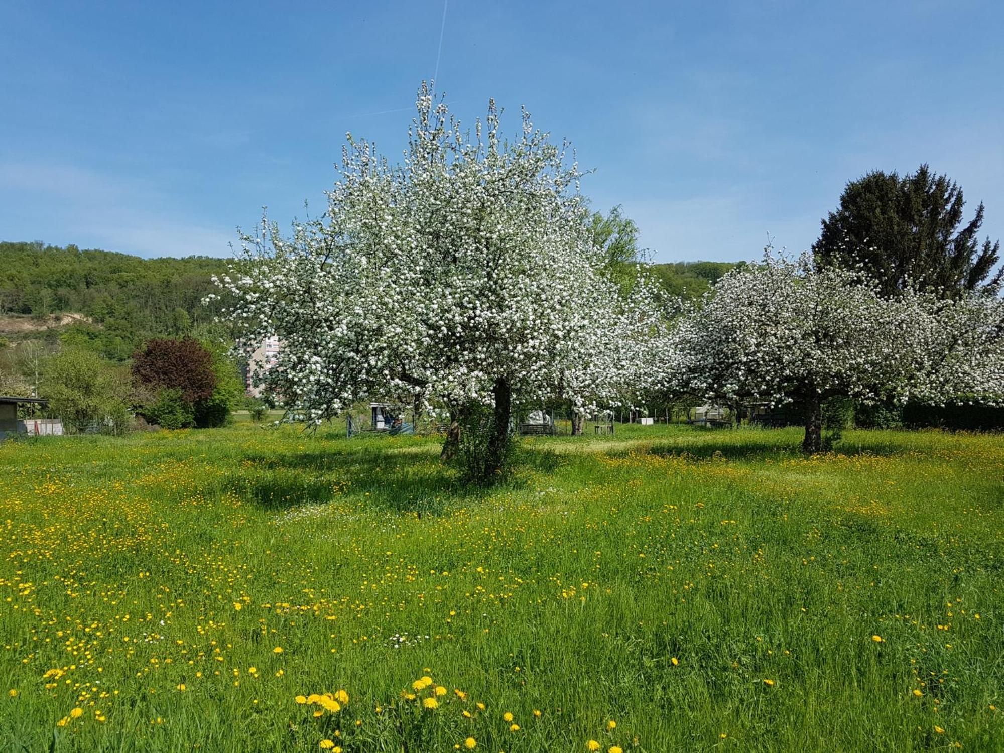 Ferienwohnungen Familie Schwarze view 2