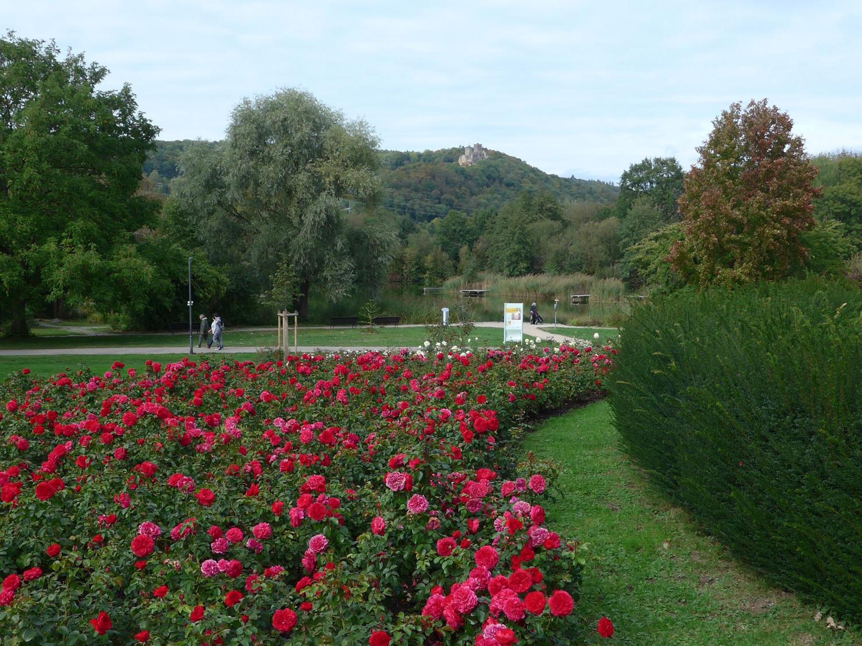 Photo 47