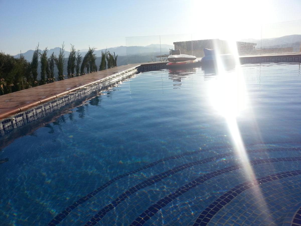 Amarilla view 4