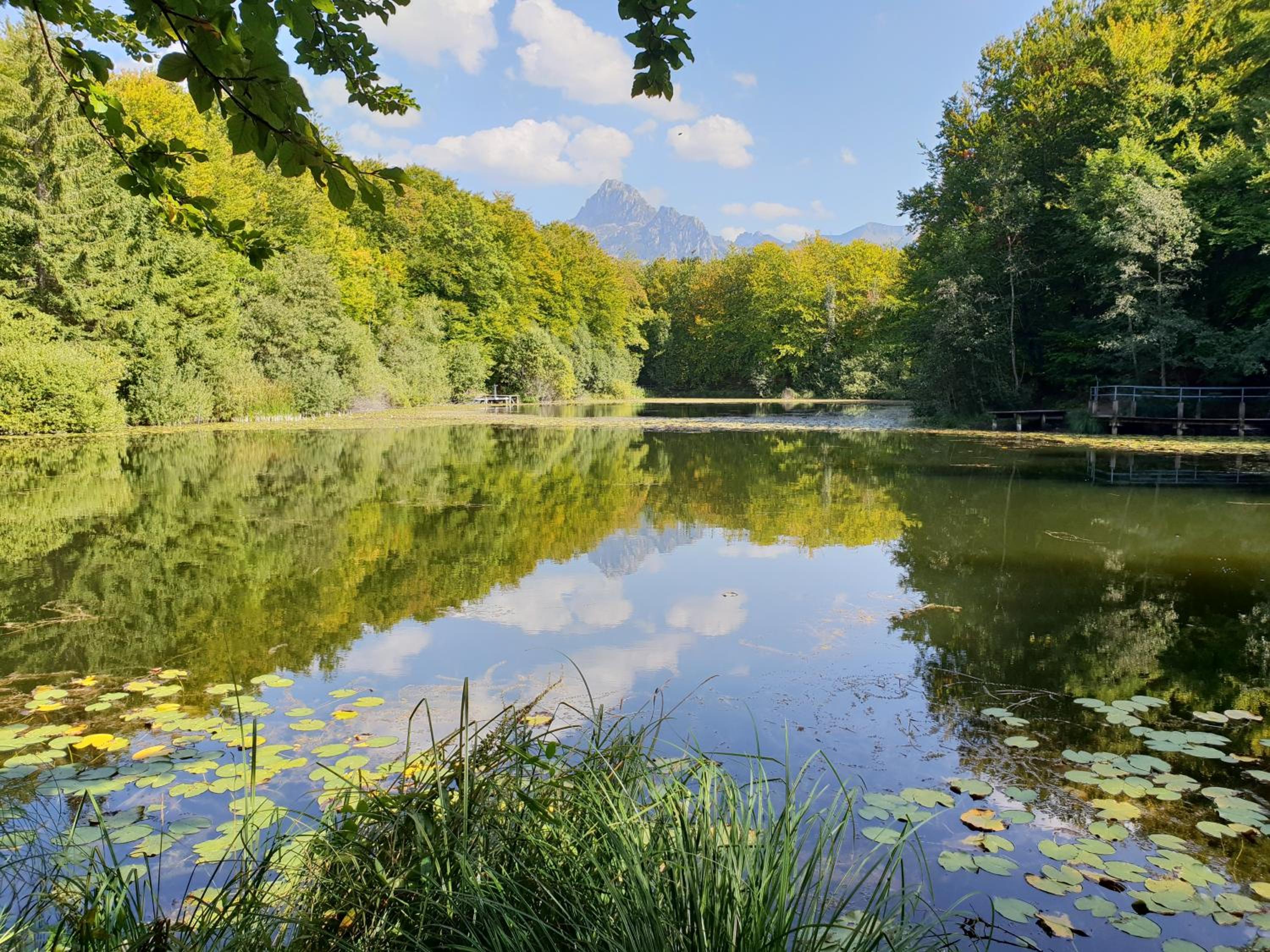 Entre Lac Et Montagnes view 4