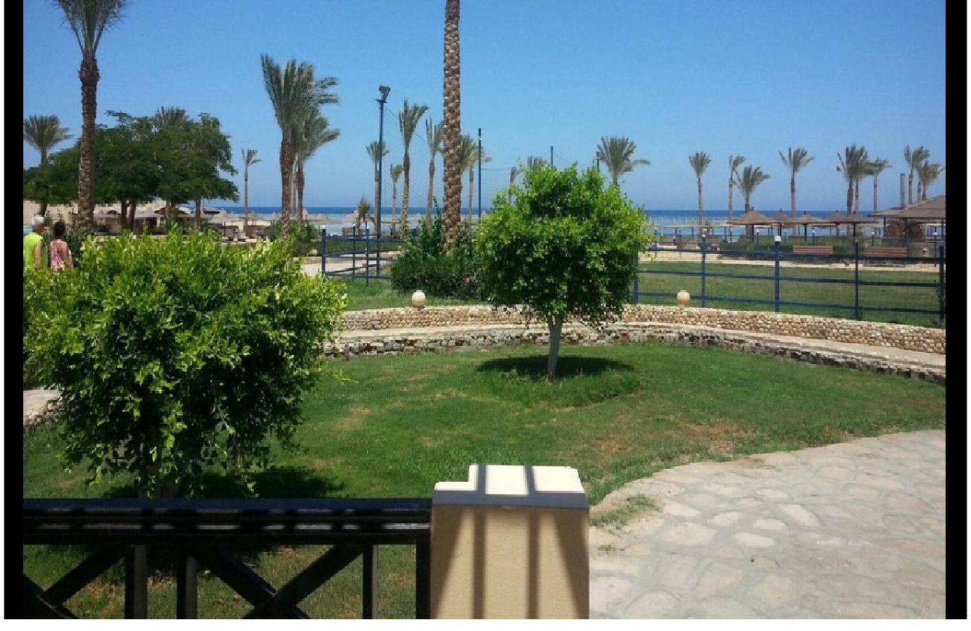 Blend Elphistone Resort Marsa Alam — photo 122