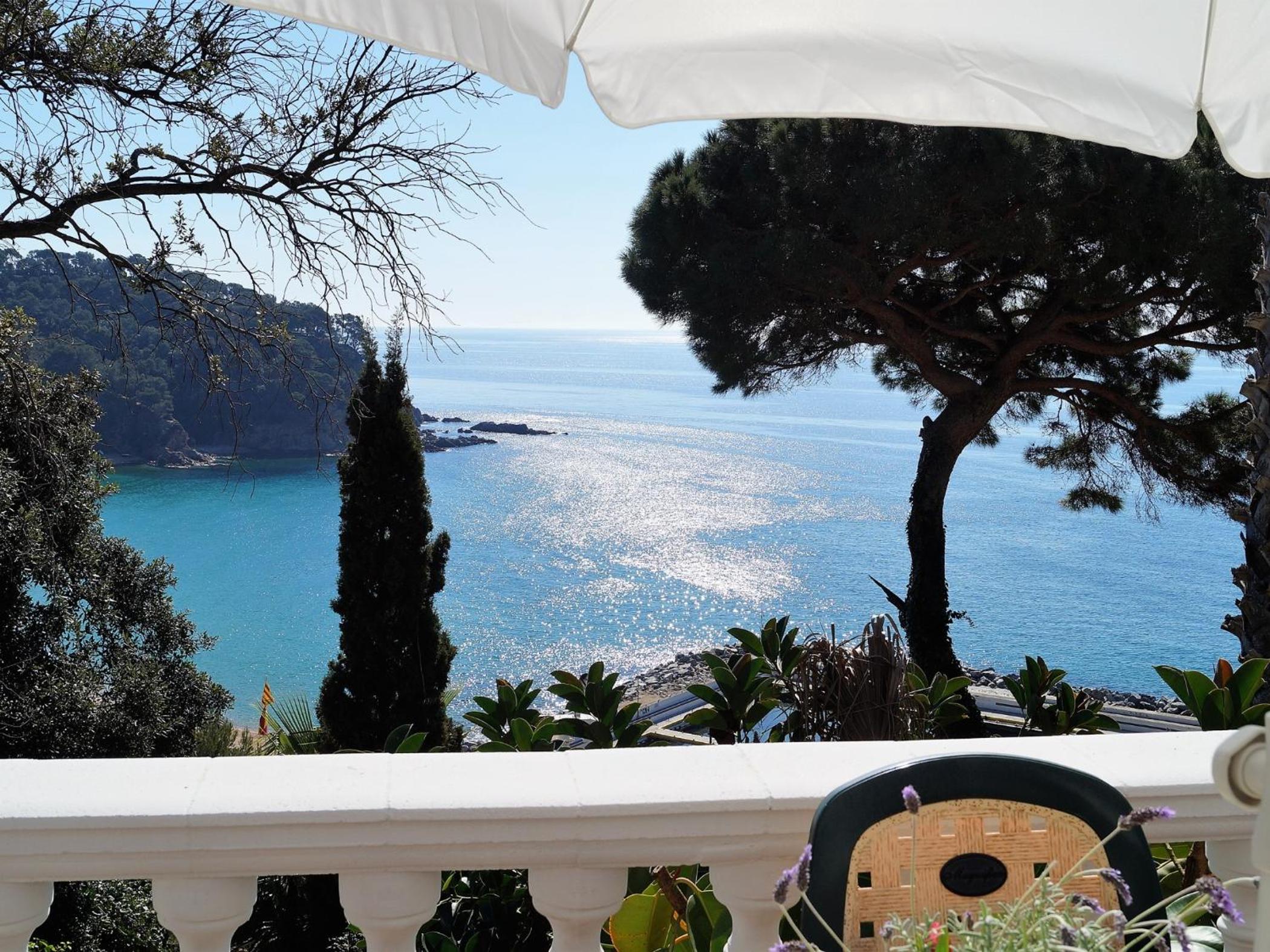 Mango view 5