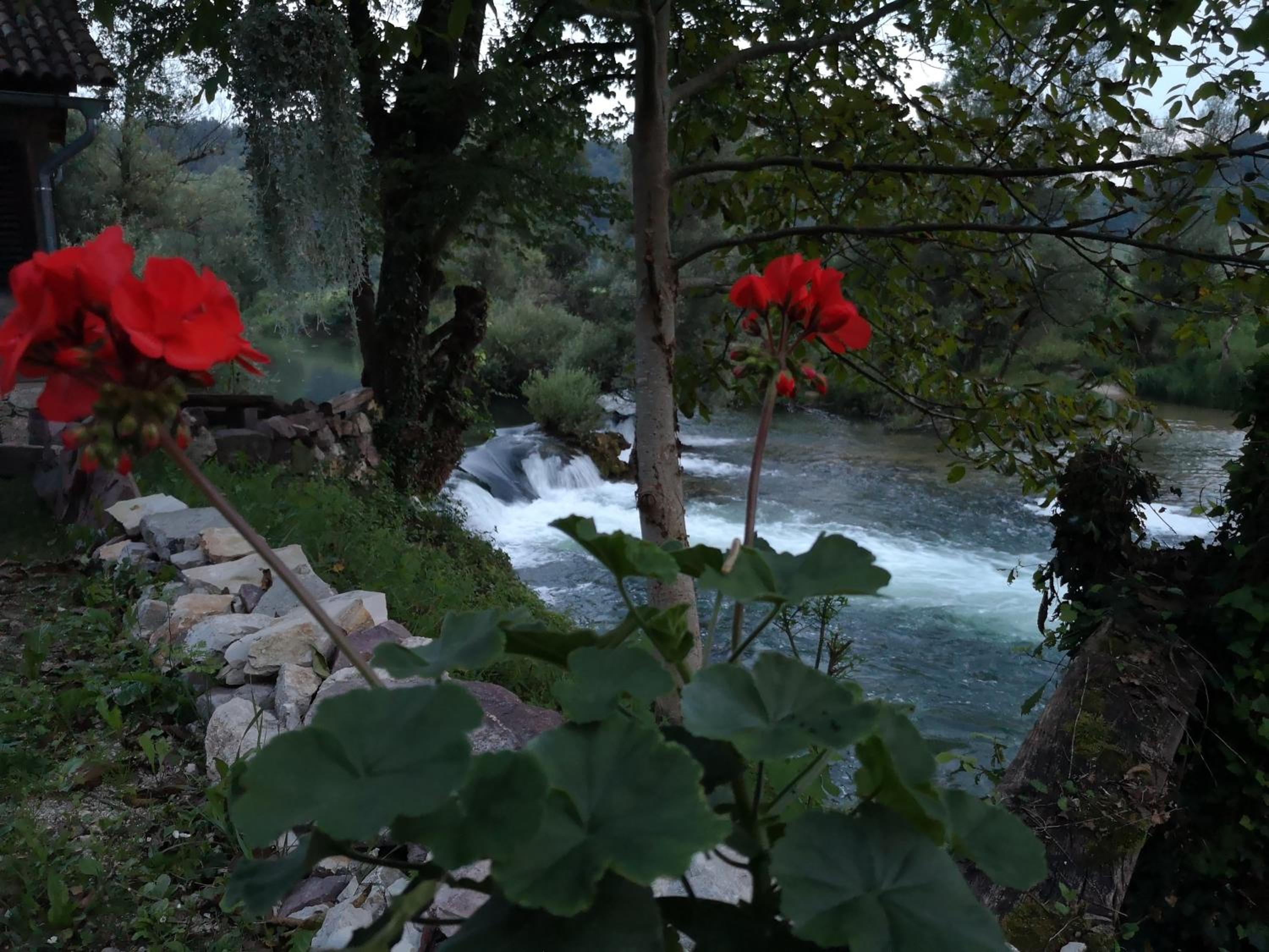 Photo 46