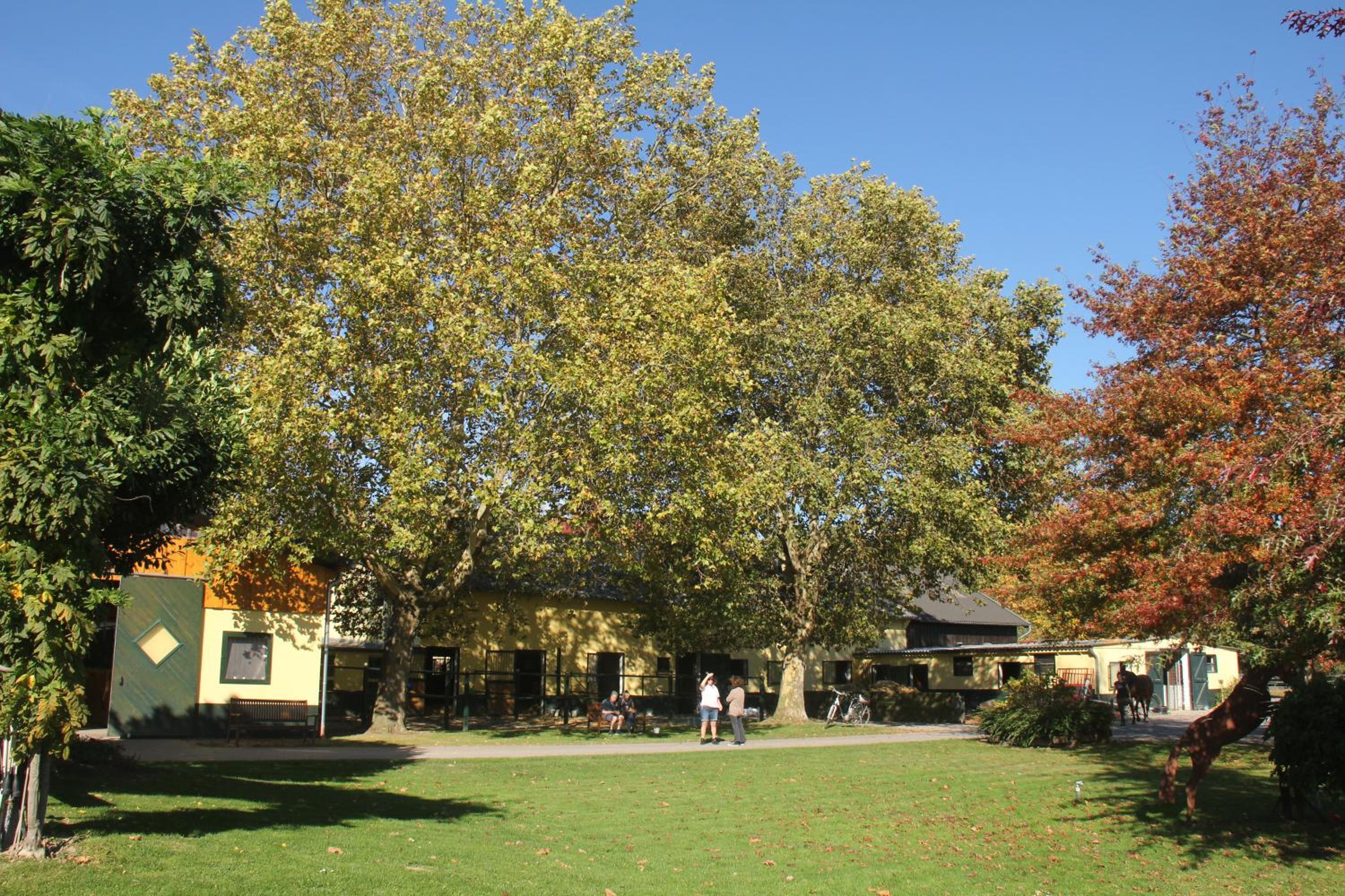 Photo 43