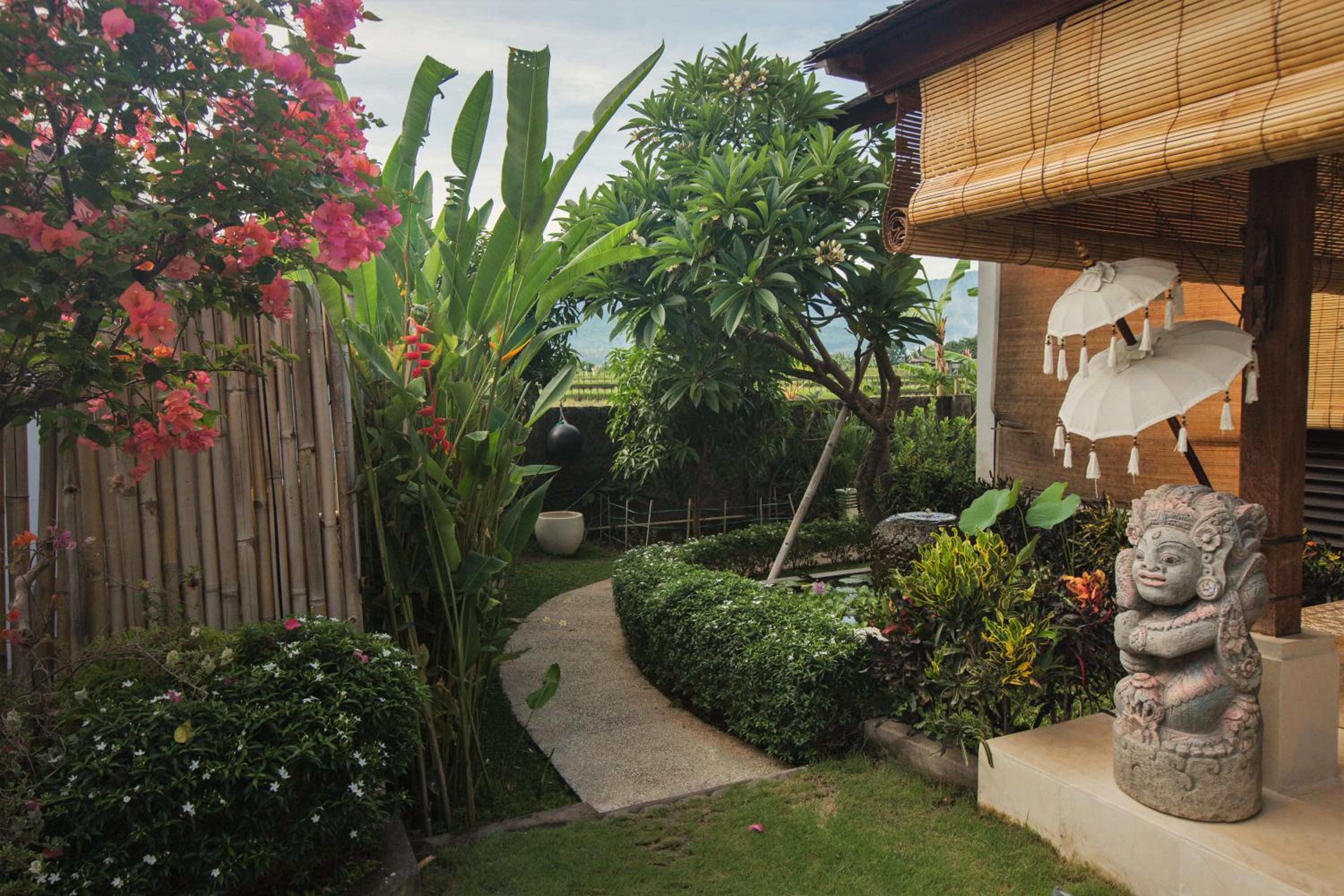 Mayo Resort