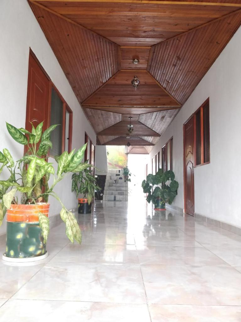 Casa Pacha