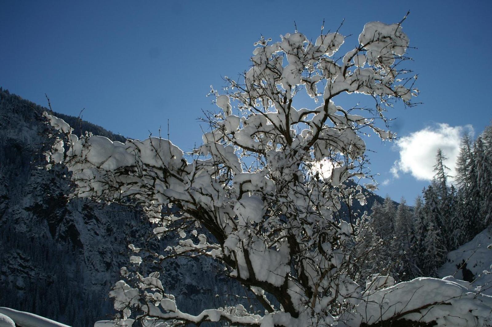 Des Alpes 2 view 3