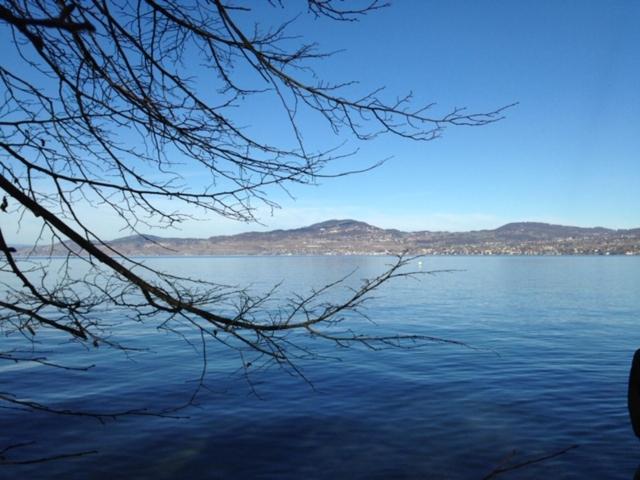Swiss Lake Lodge