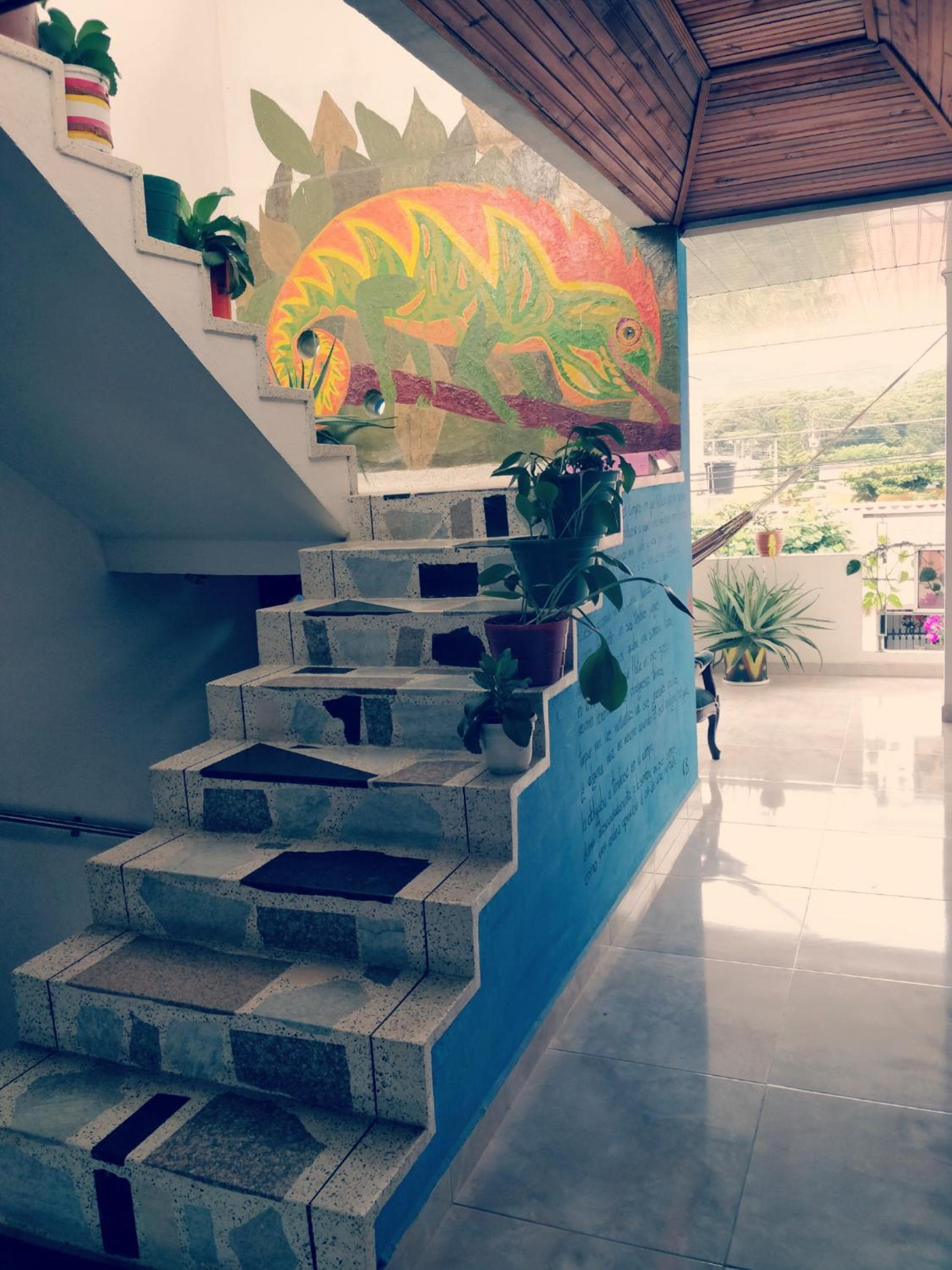 Casa Pacha