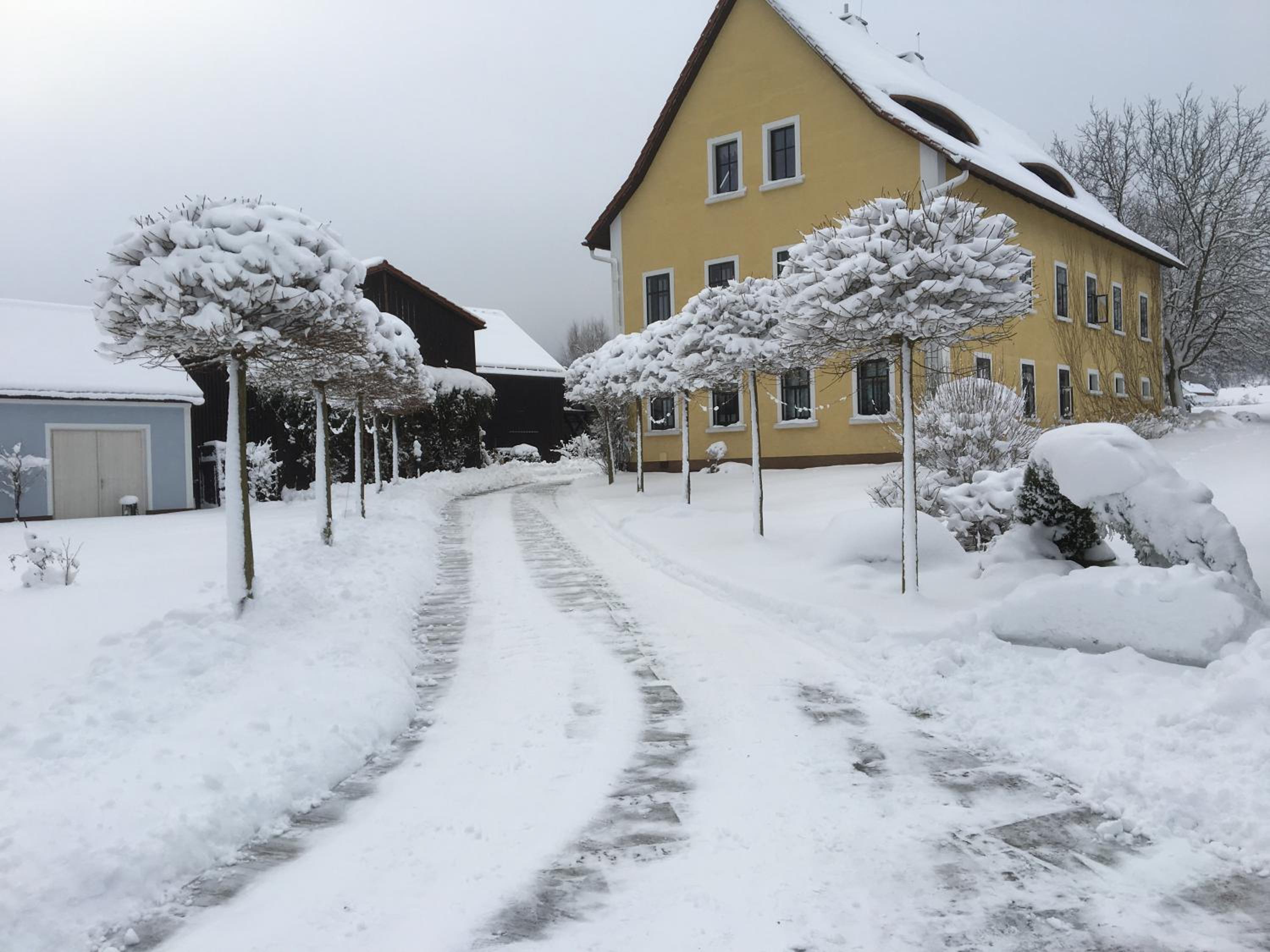 Alte Hofwerkstatt view 5