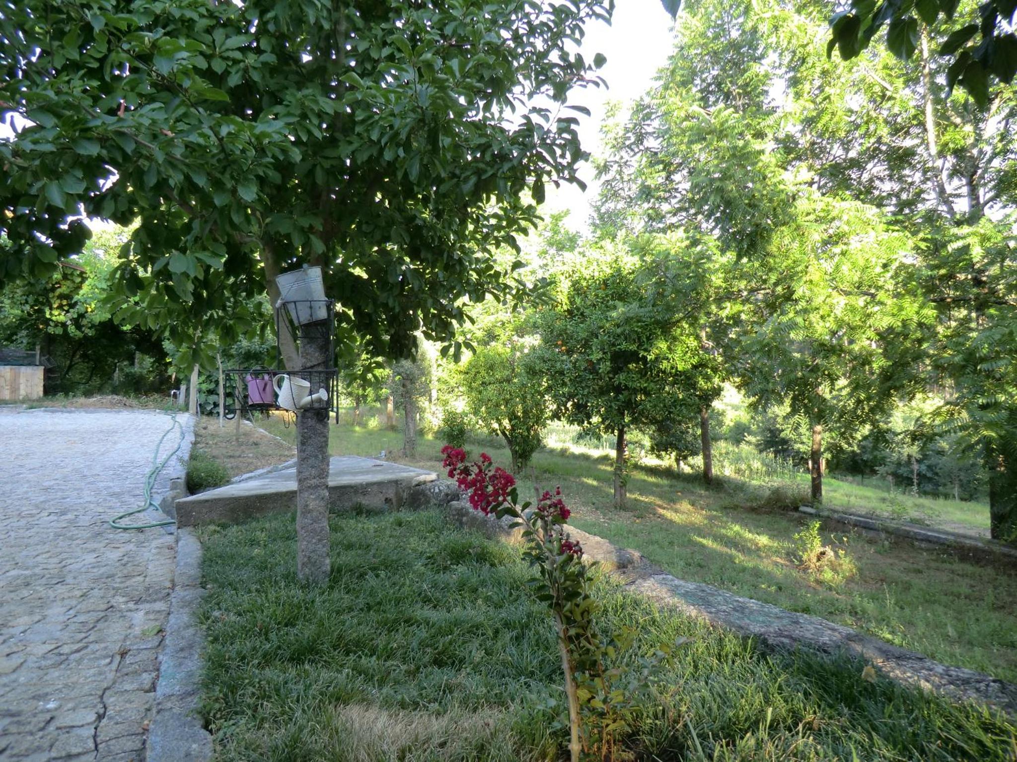Photo 35