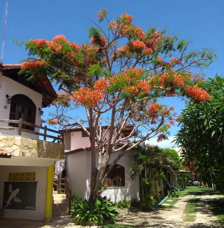 Paracuru Kite Village