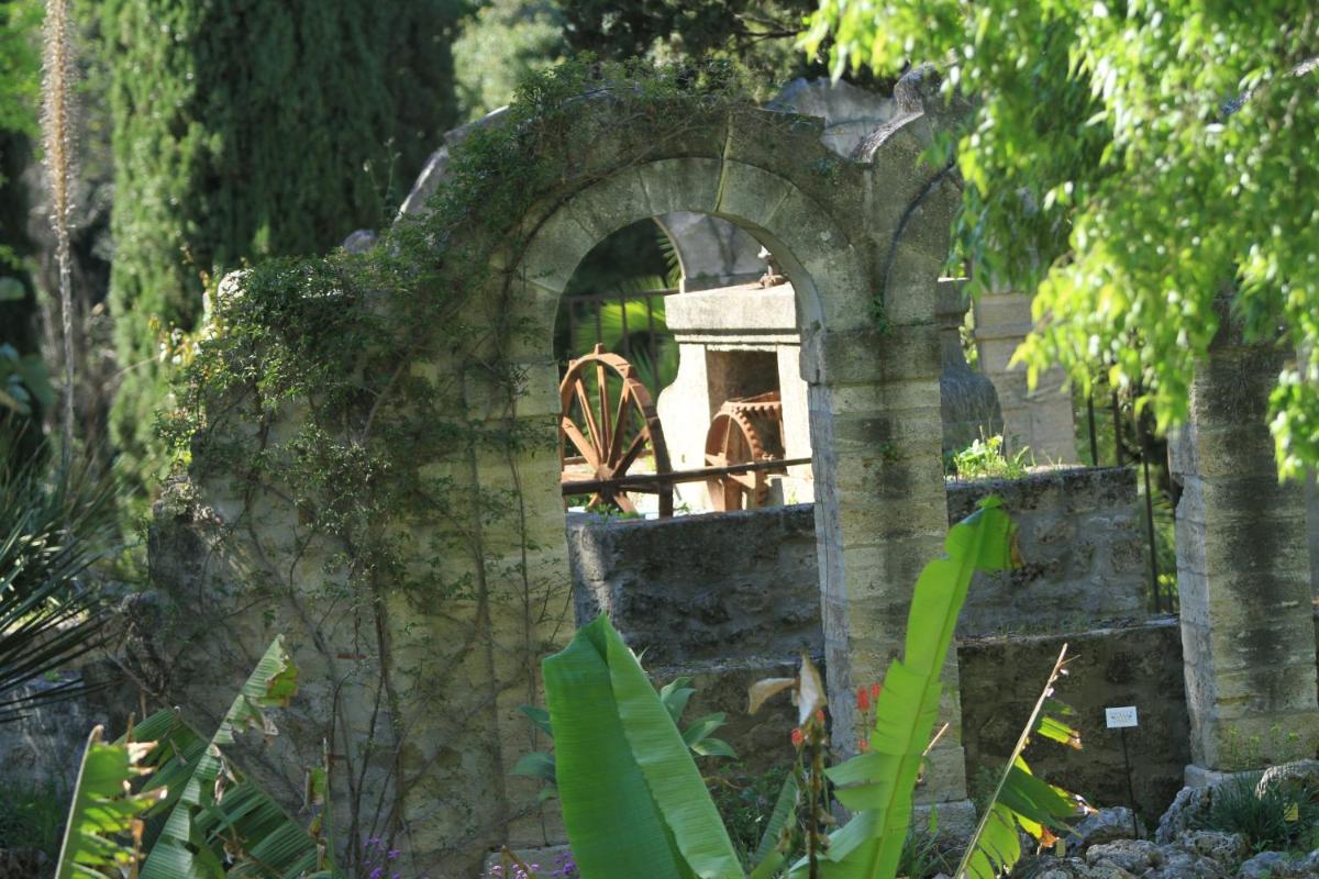 garden