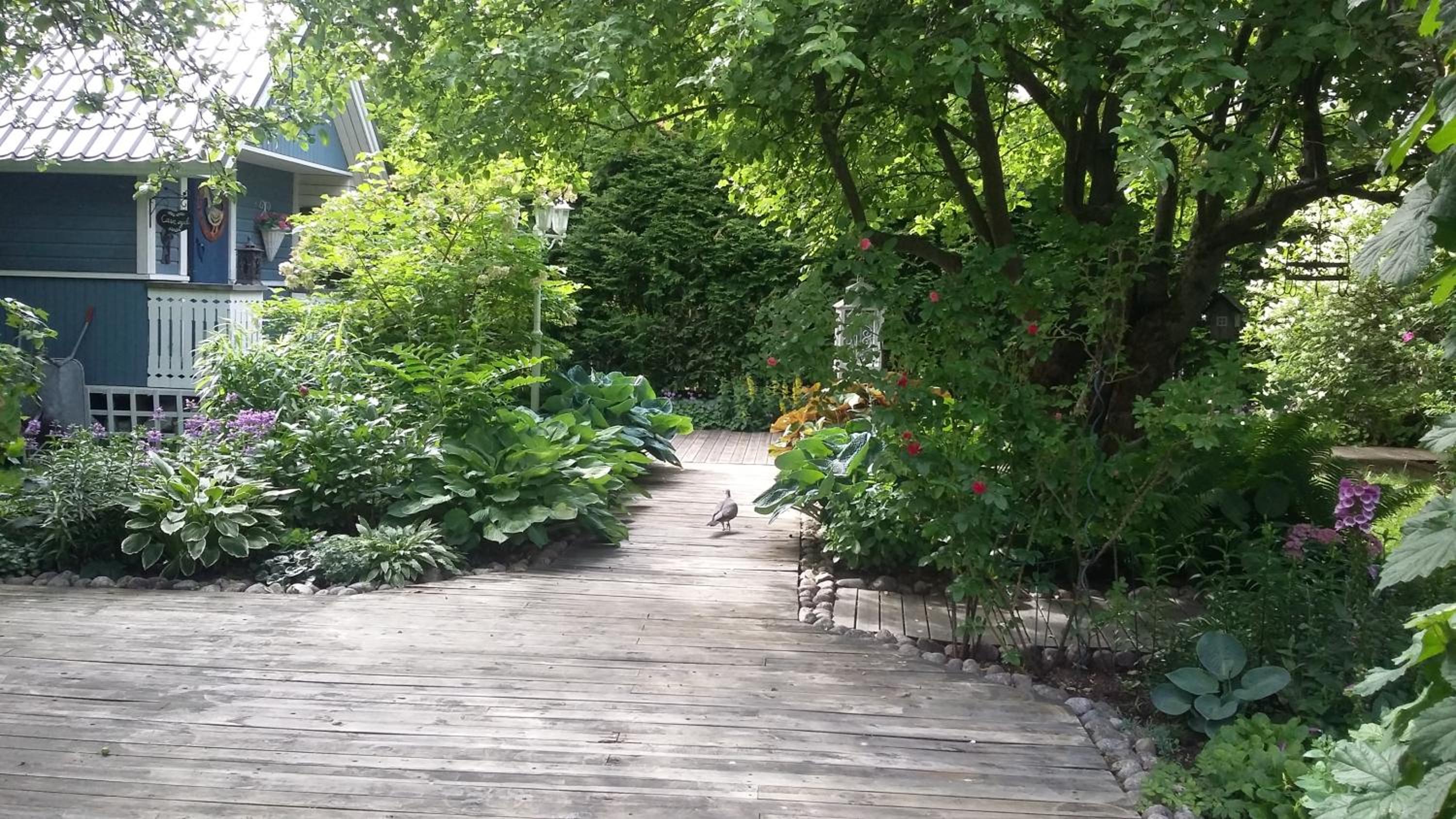 Photo 17