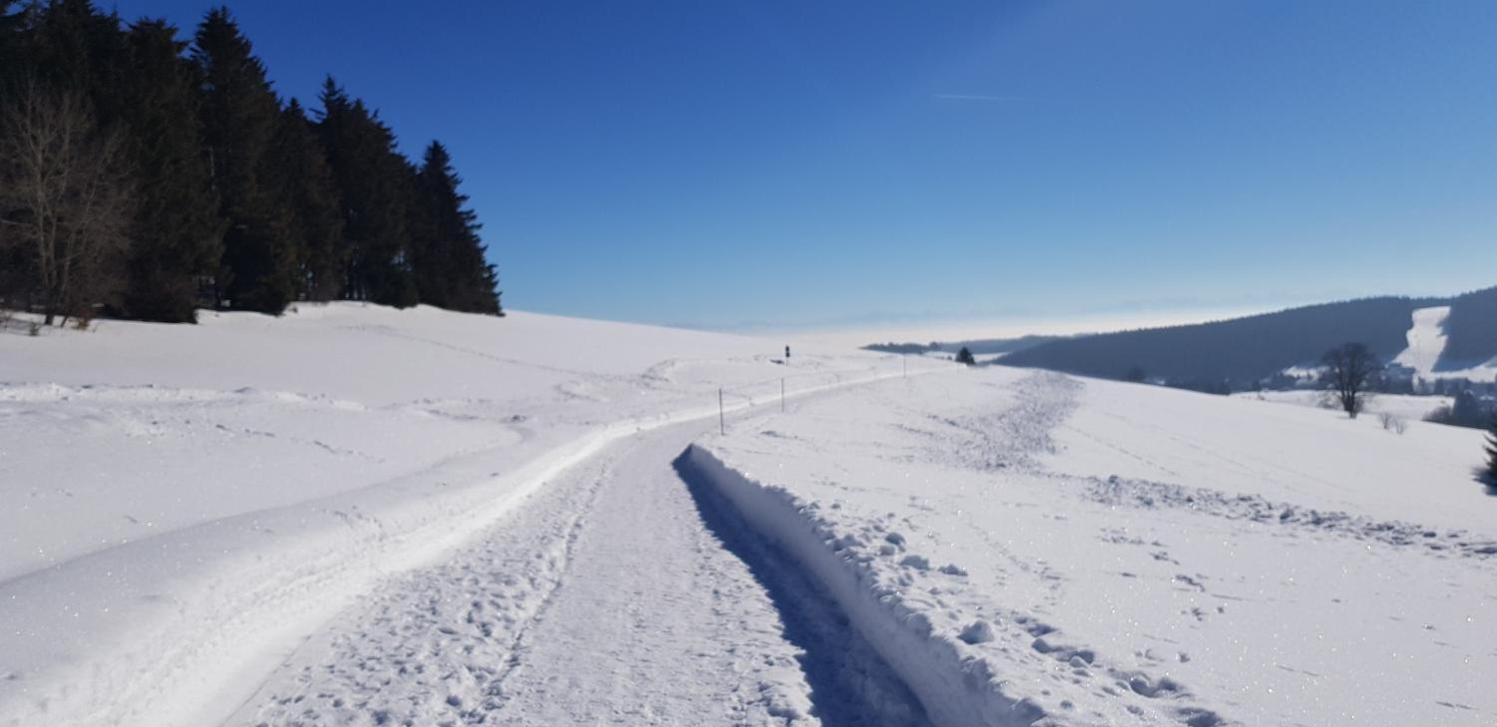Jules Traum im Schwarzwald