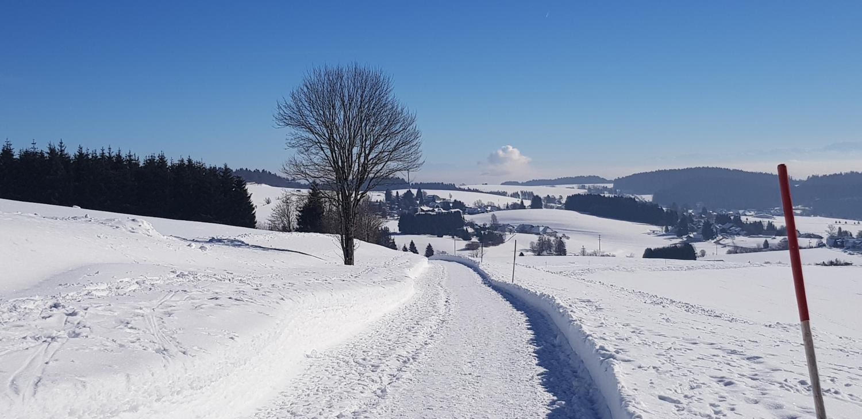 Jules Traum im Schwarzwald