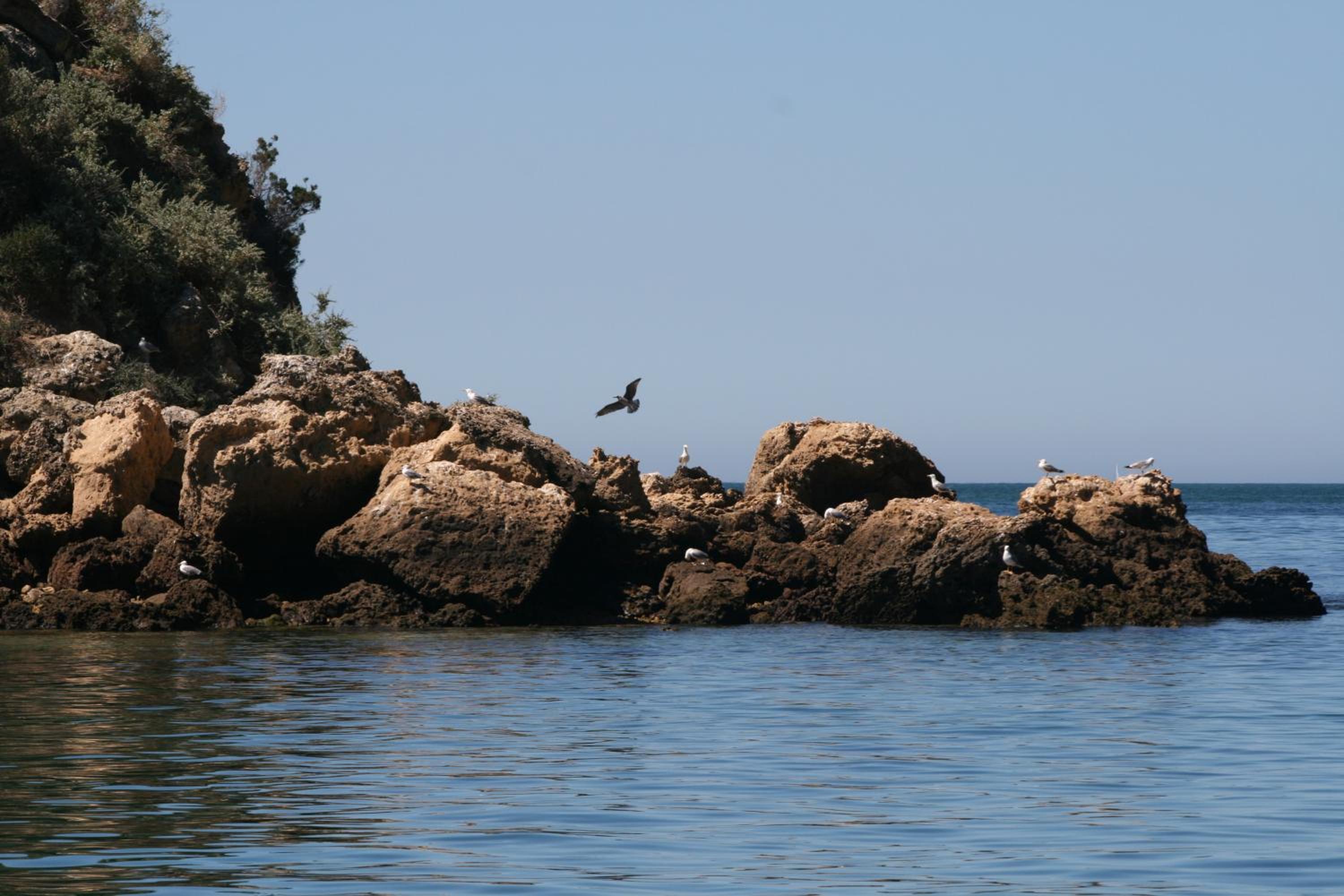 Photo 14