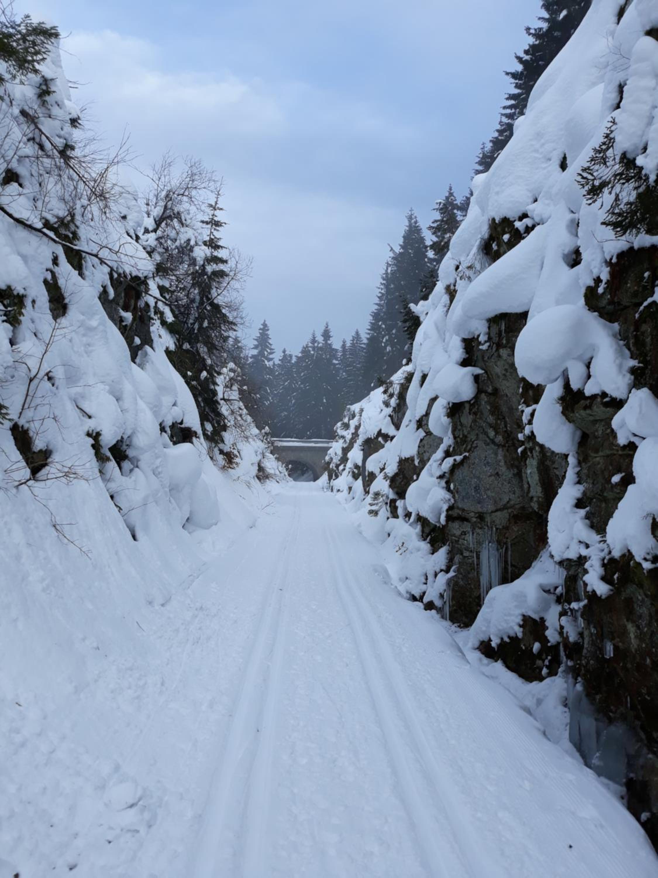 Apartment Almberg