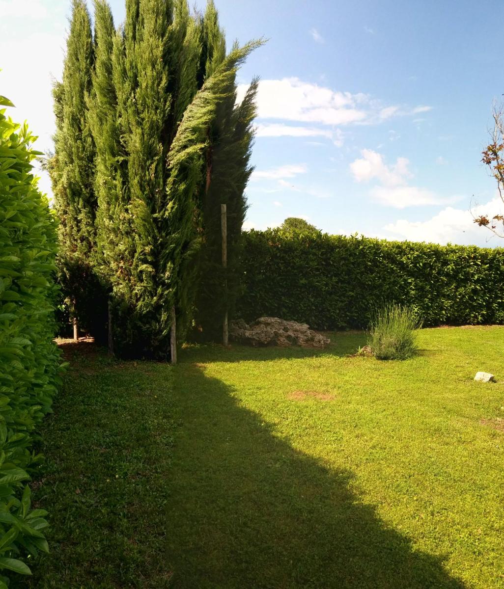 A Viterbo Terme "Casa Vacanze Al Melograno" view 5