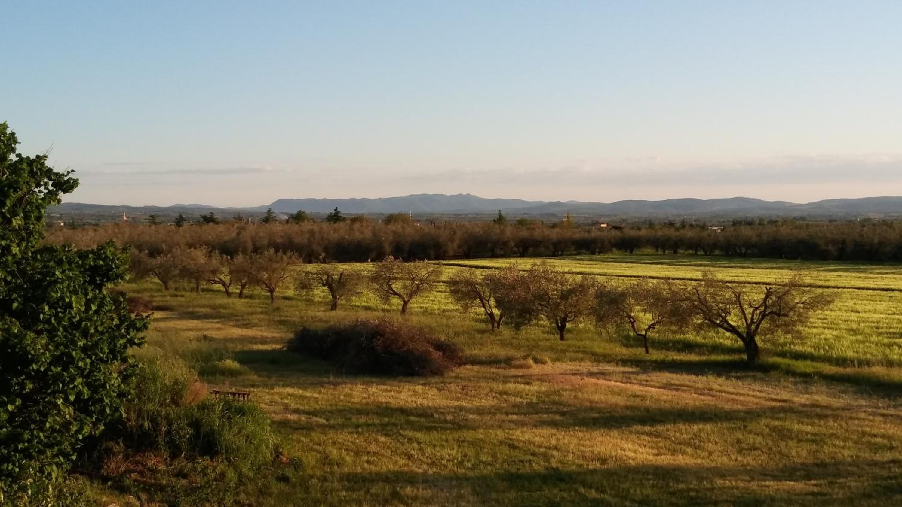Agriturismo La Corte - Viterbo Terme view 5