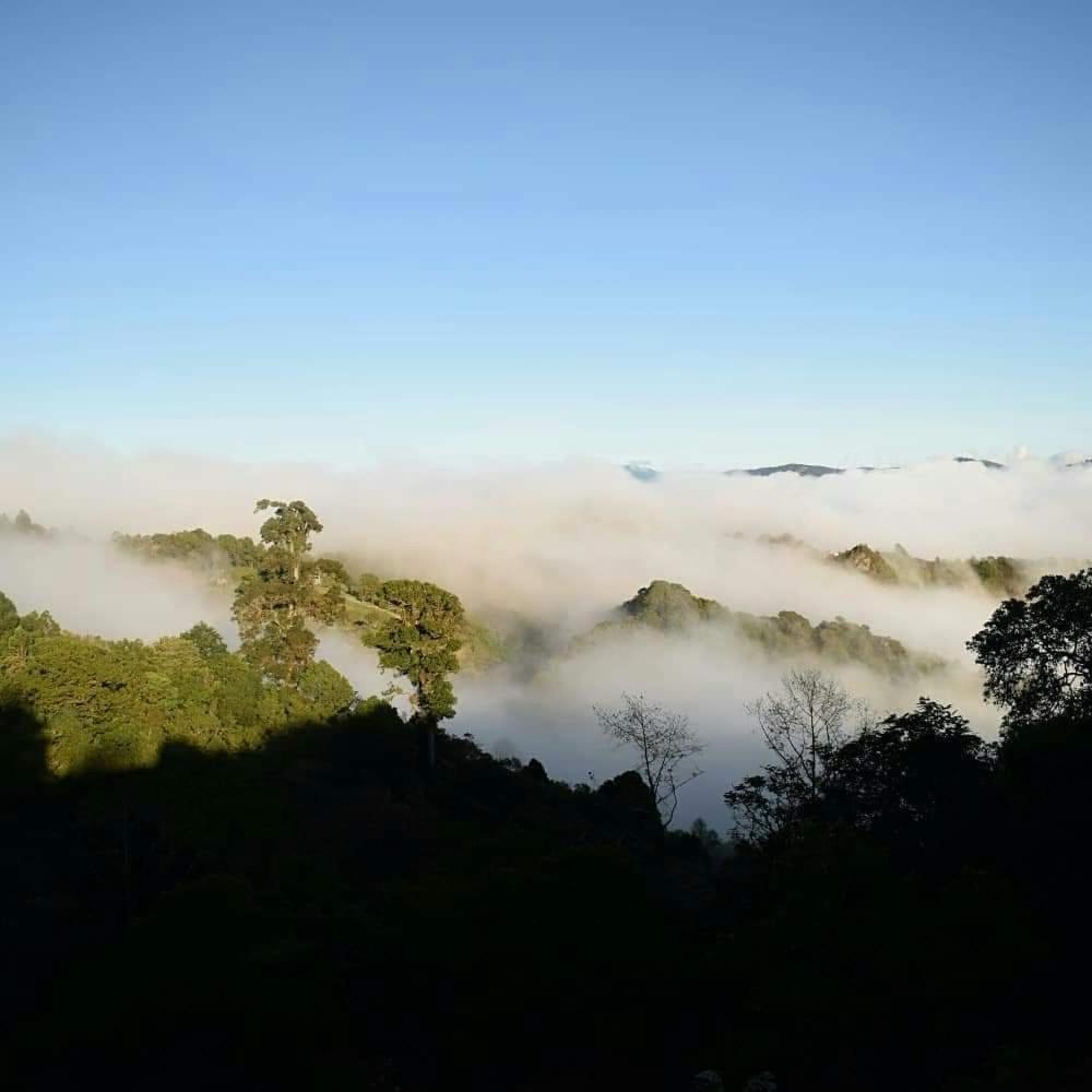 Reserva Natural Cerro Alto
