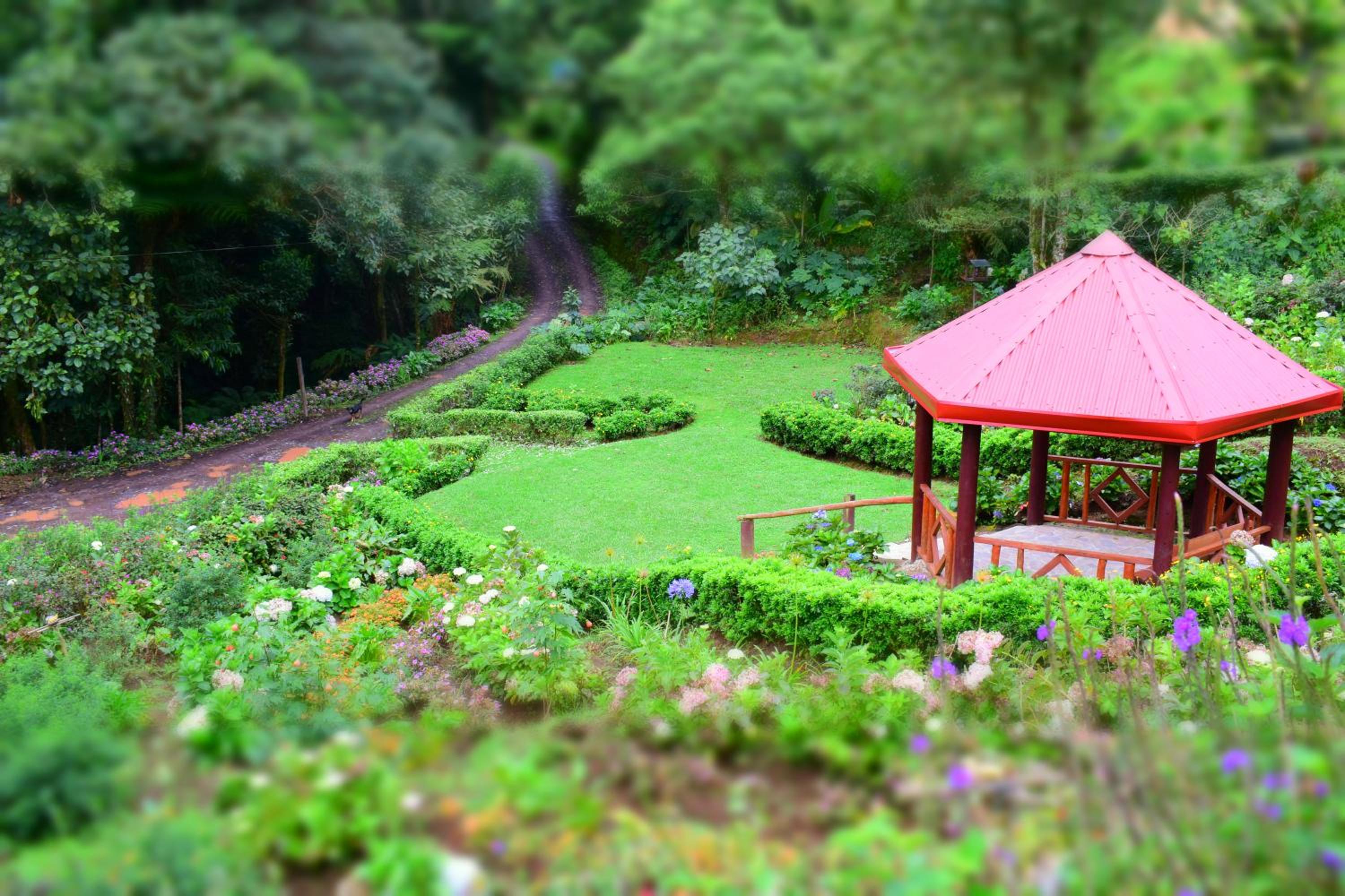Reserva Natural Cerro Alto